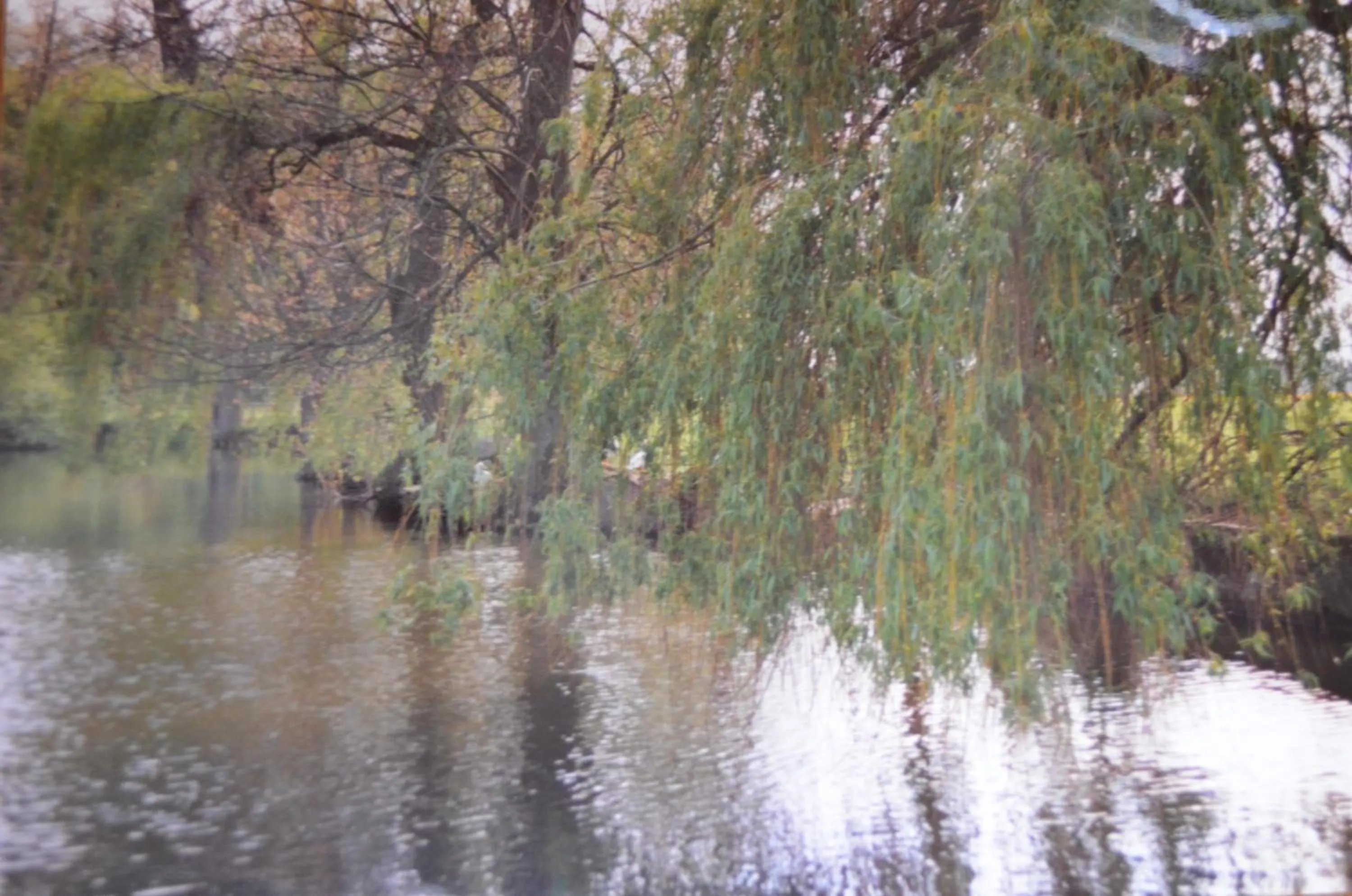 Other in Hotel Kinnen