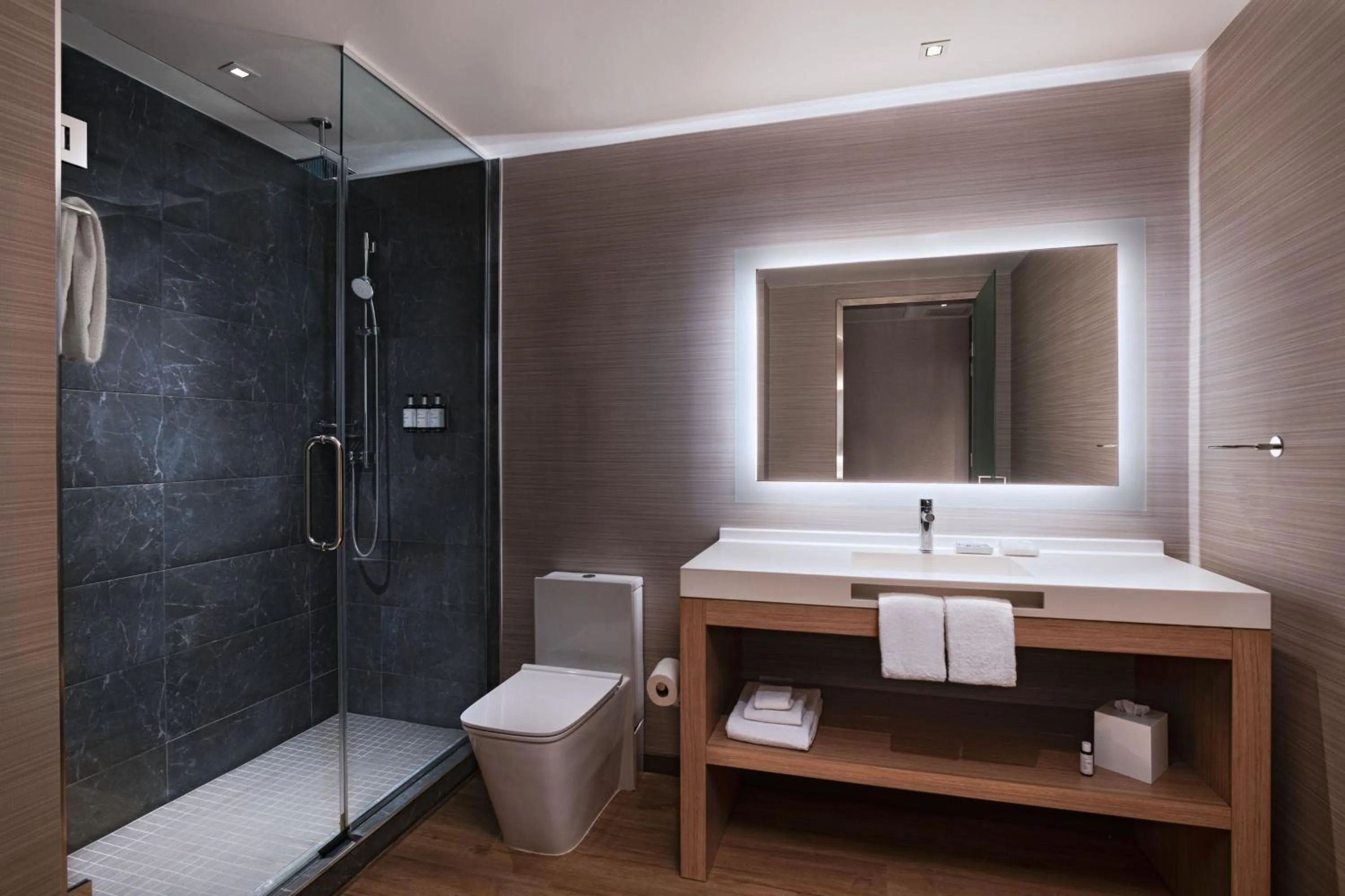 Bathroom in AC Hotel Houston Downtown