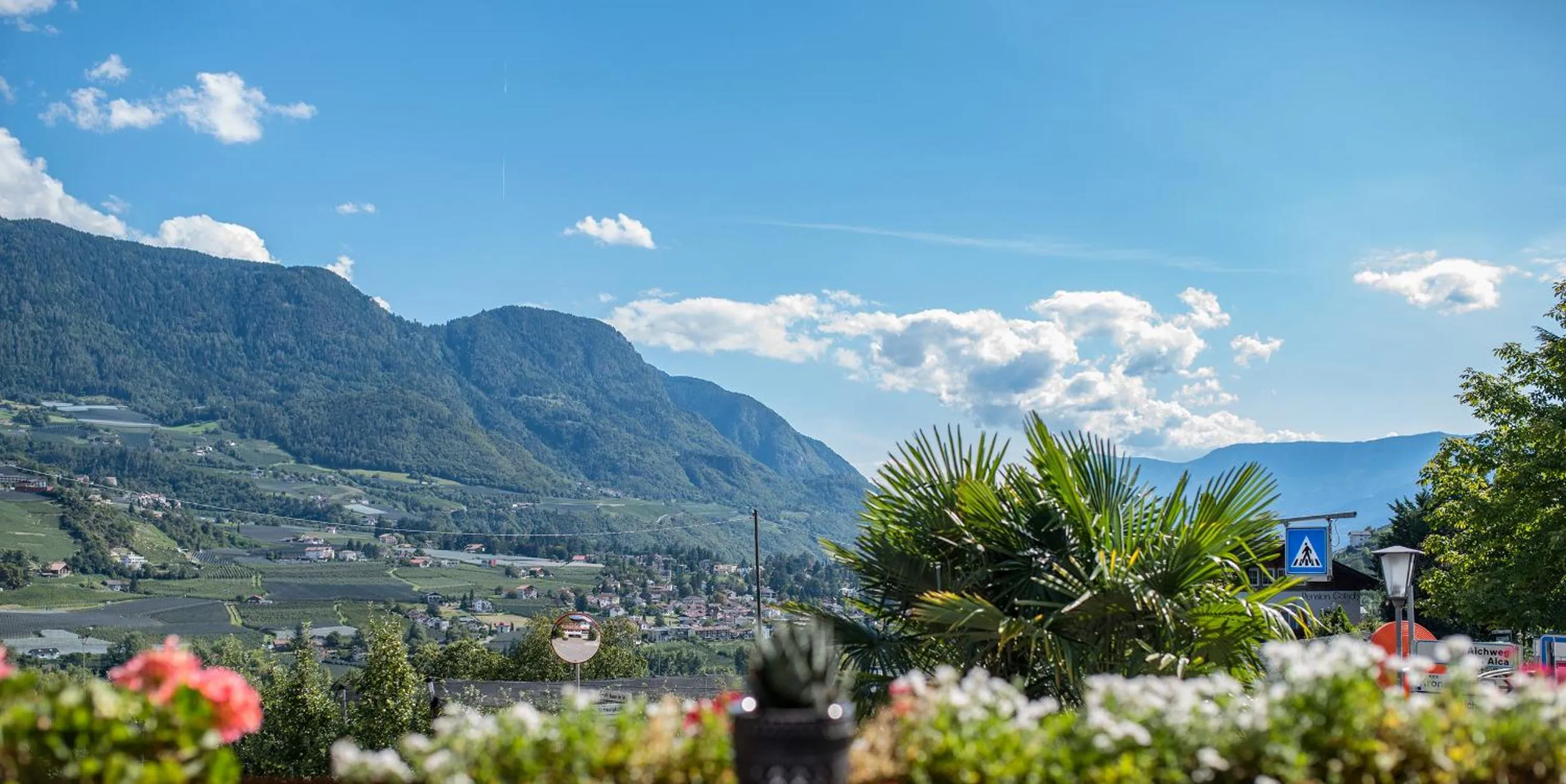 View (from property/room) in Hotel Eichenhof