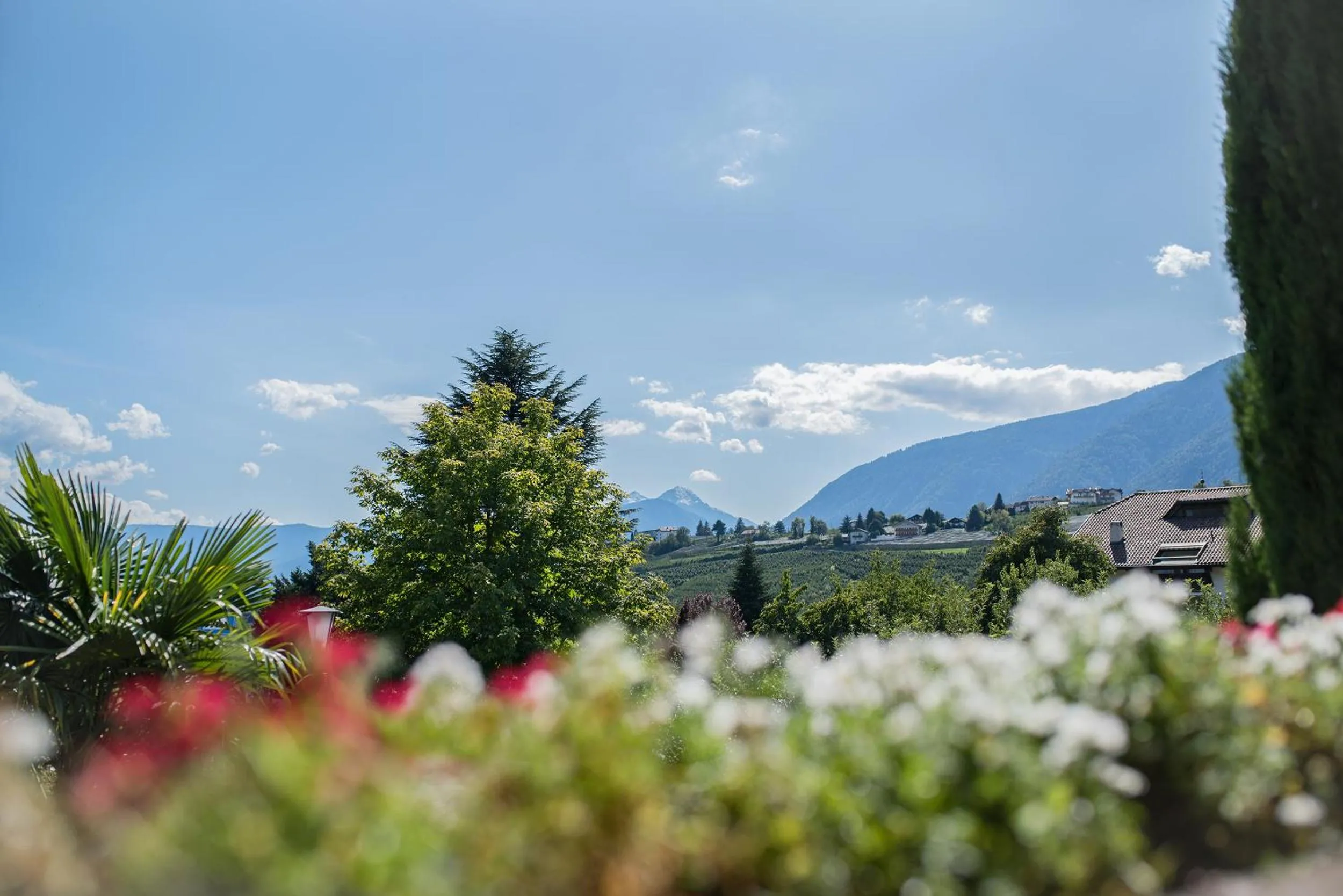 Mountain view in Hotel Eichenhof
