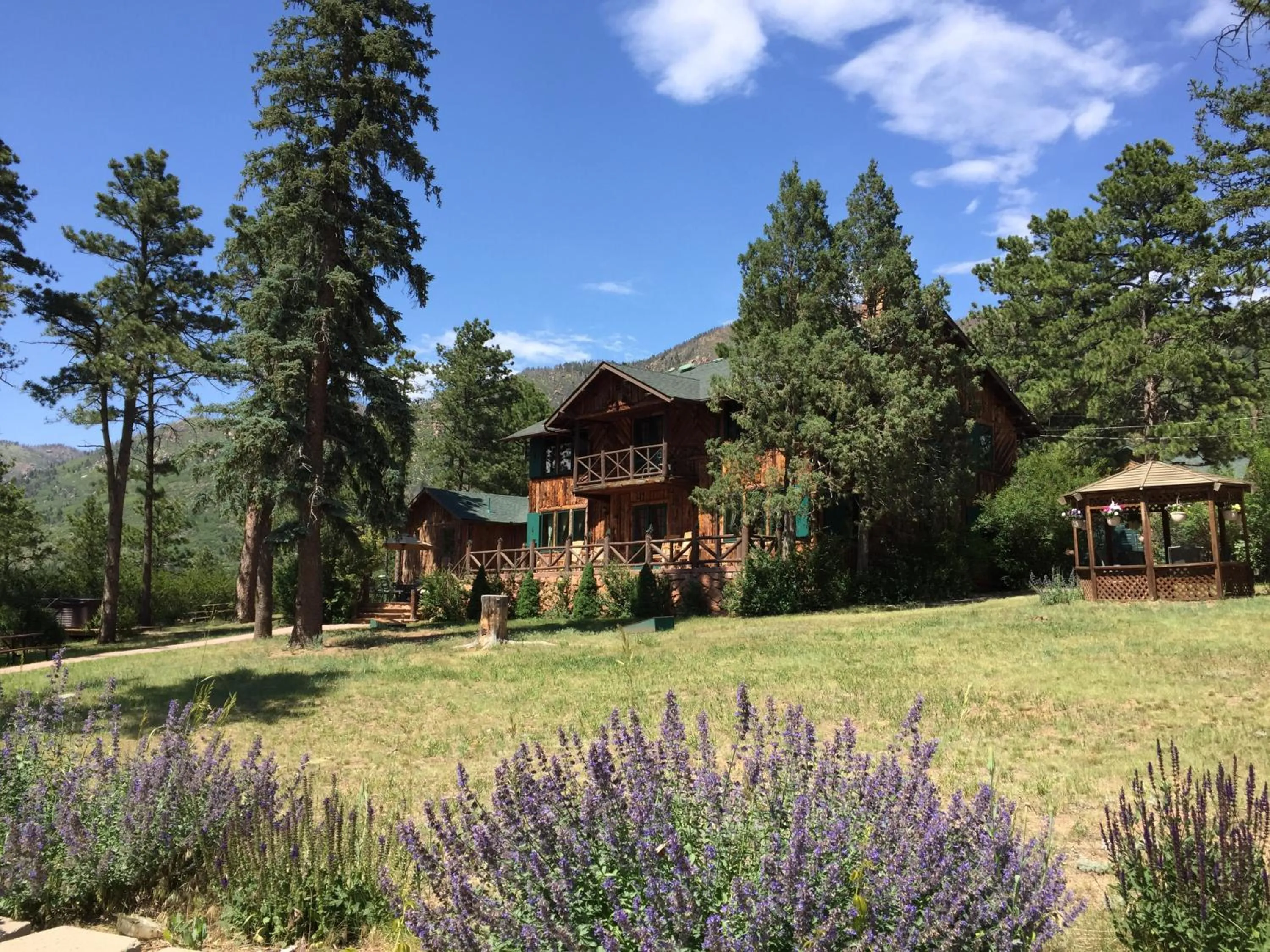 Bird's eye view in Pikes Peak Guest Cabin at Rocky Mountain Lodge