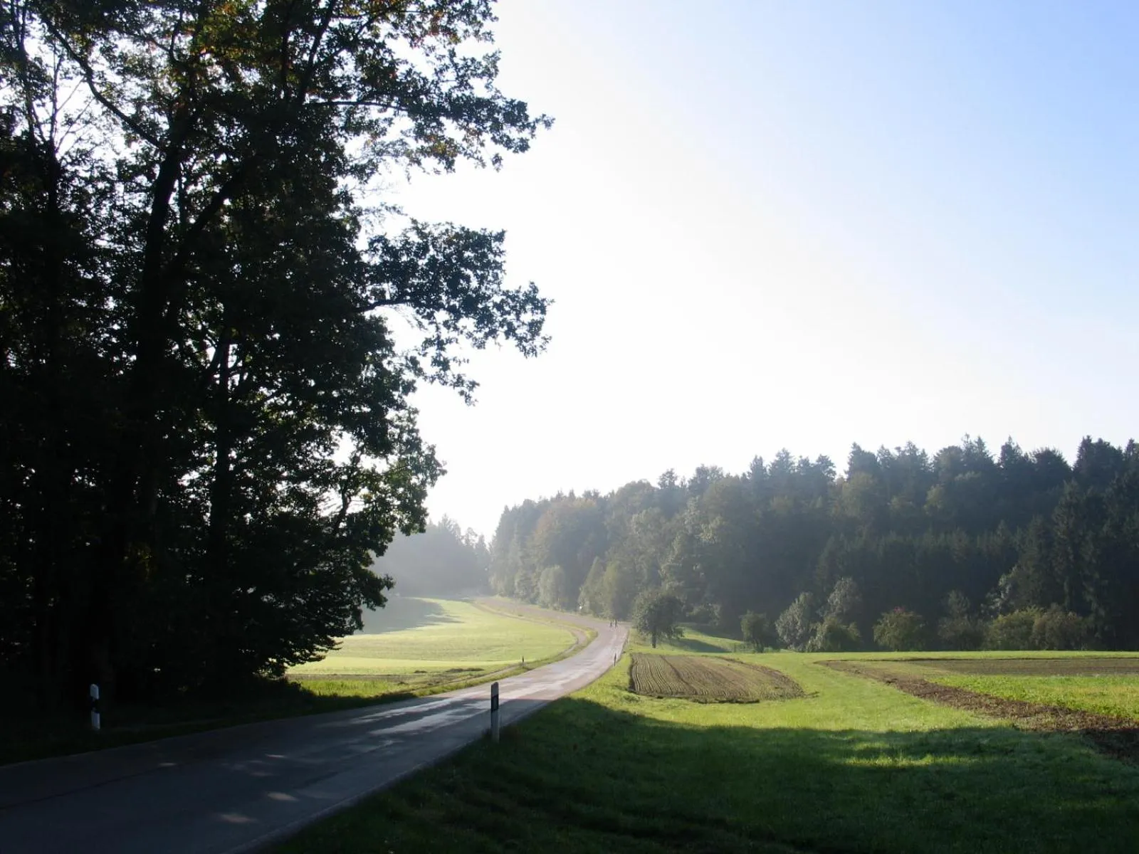 Other in Gasthof Birkenhof