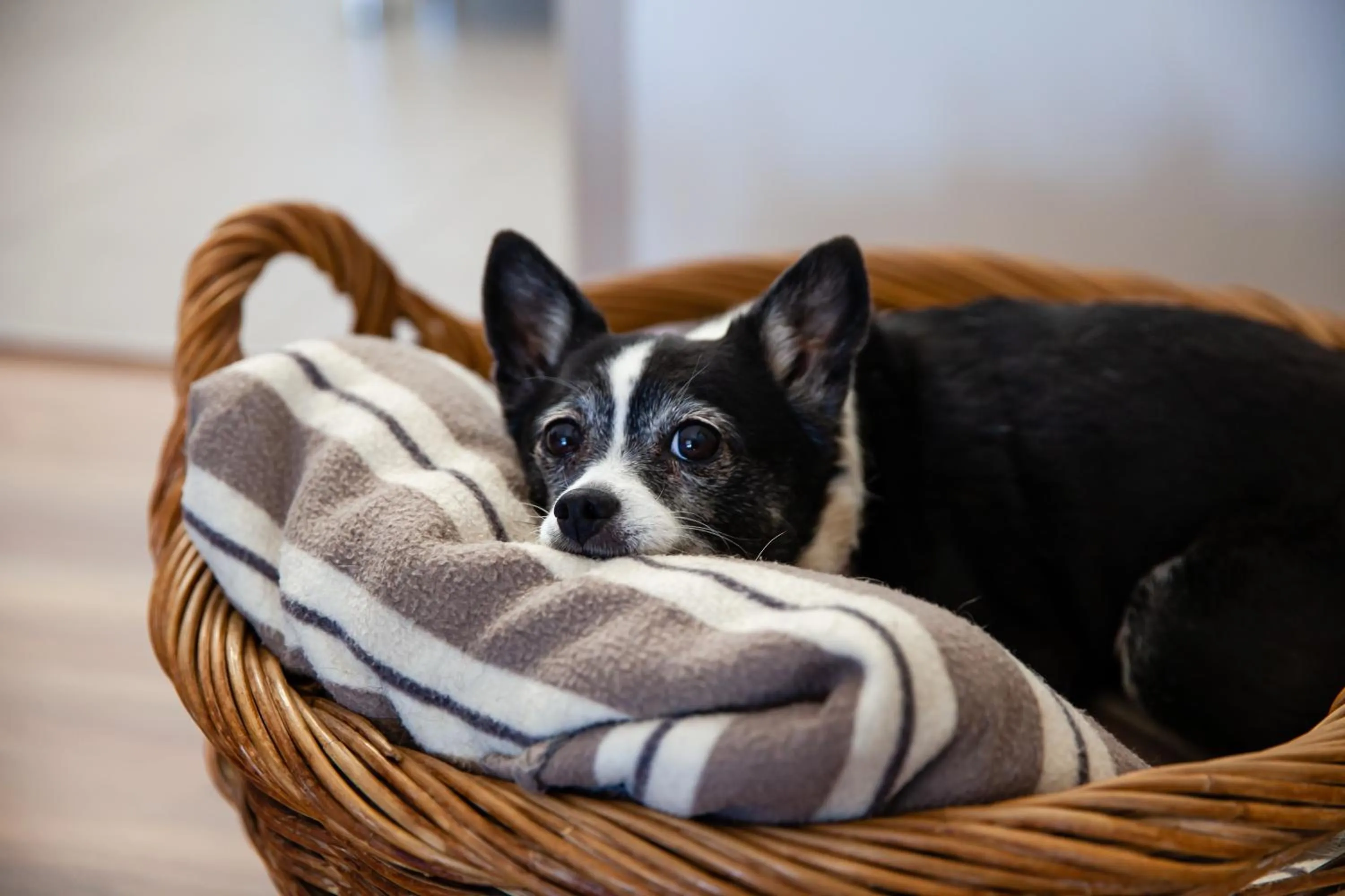 Kingaroy Country Motel