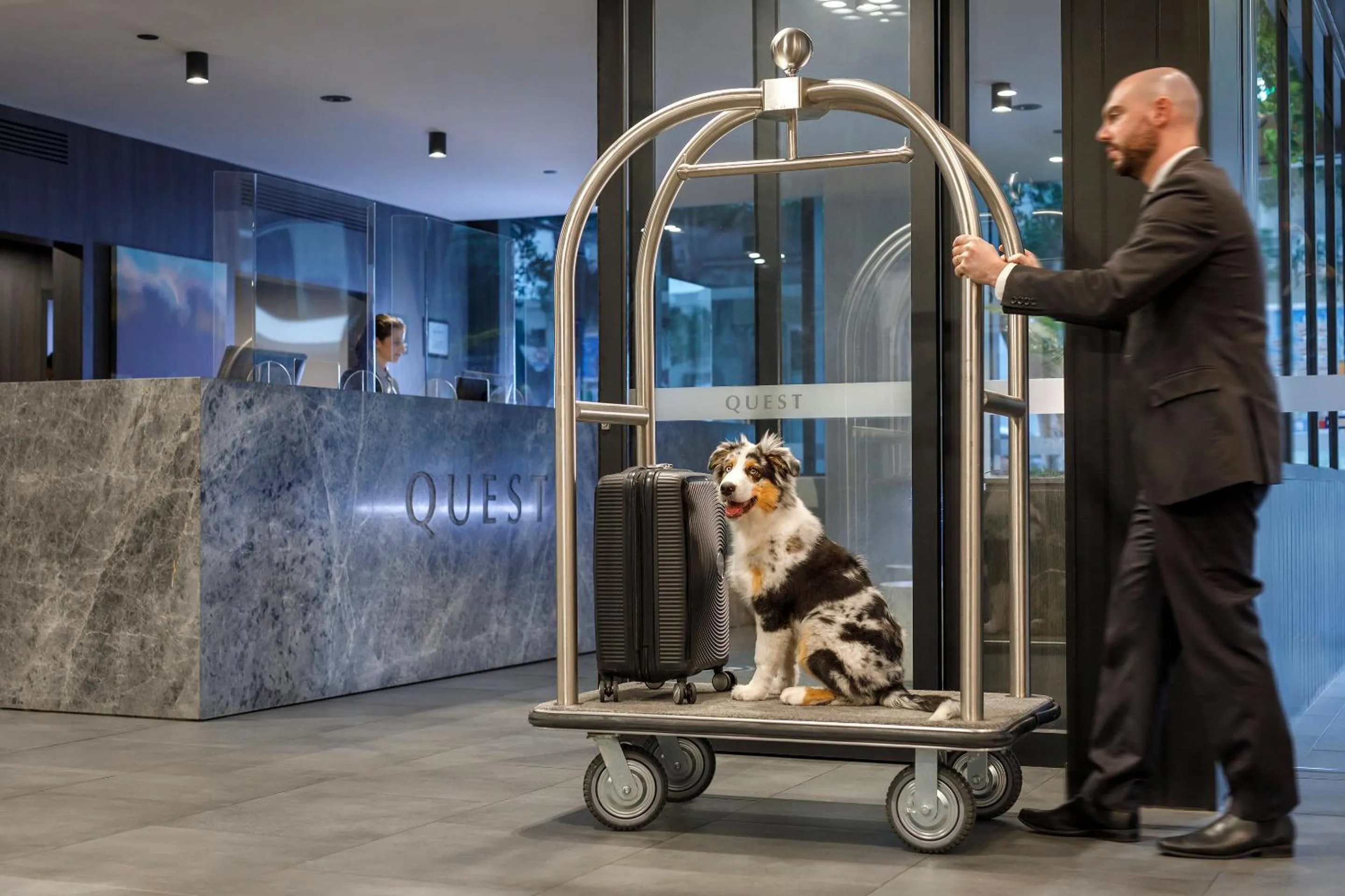 Pets in Quest Cronulla Beach