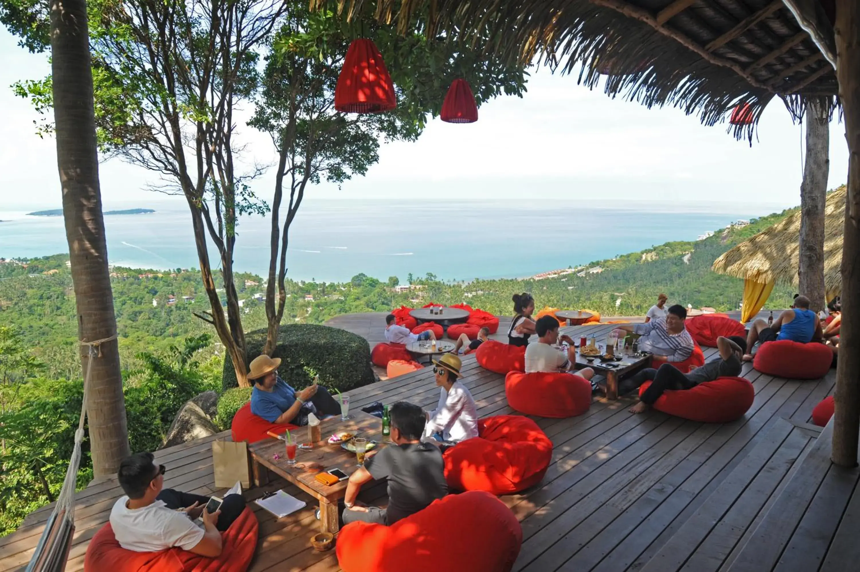 Restaurant/places to eat in The Jungle Club - SHA Extra Plus Restaurant/places to eat in The Jungle Club - SHA Extra Plus