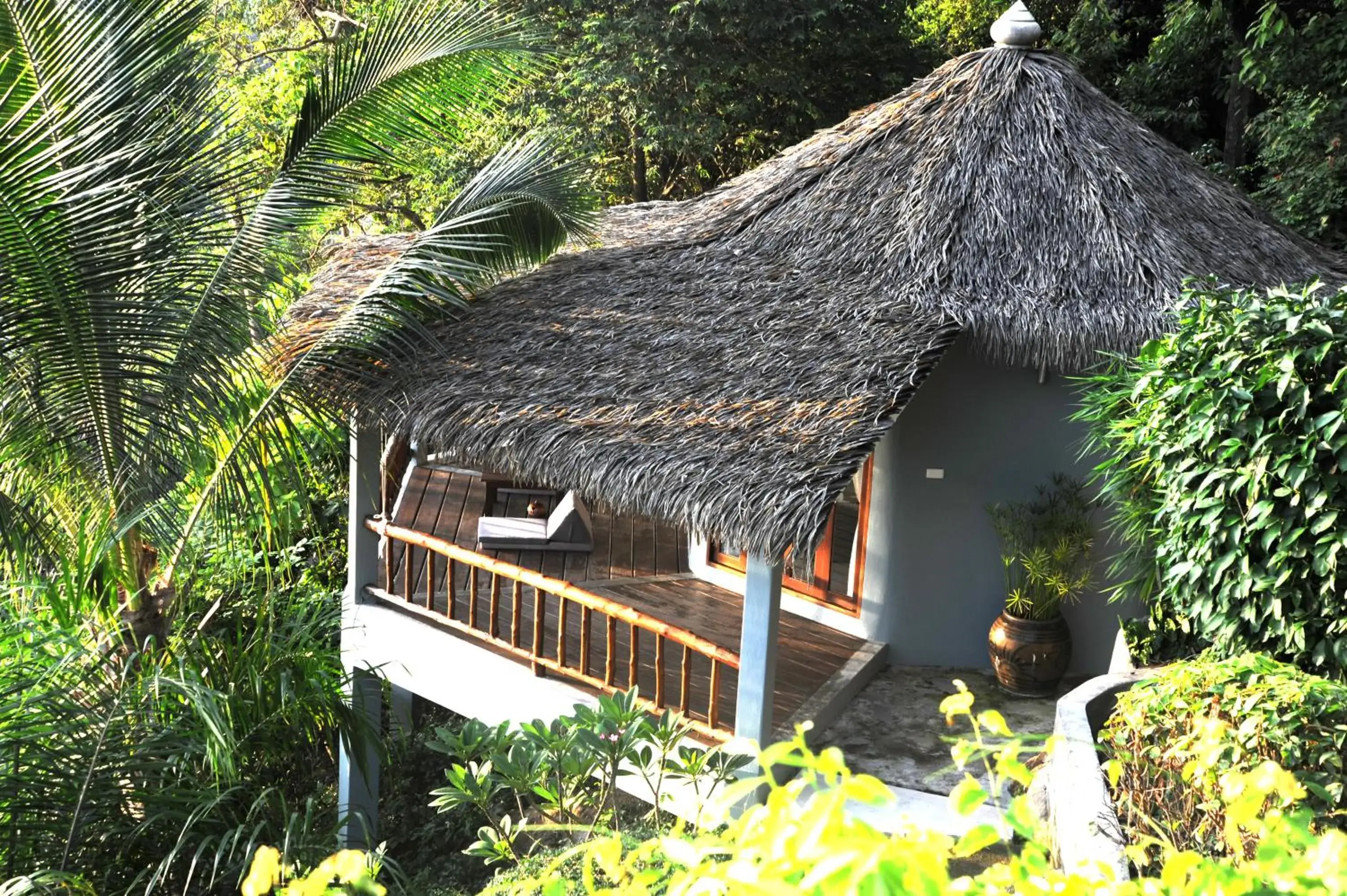 Property building in The Jungle Club - SHA Extra Plus Property building in The Jungle Club - SHA Extra Plus