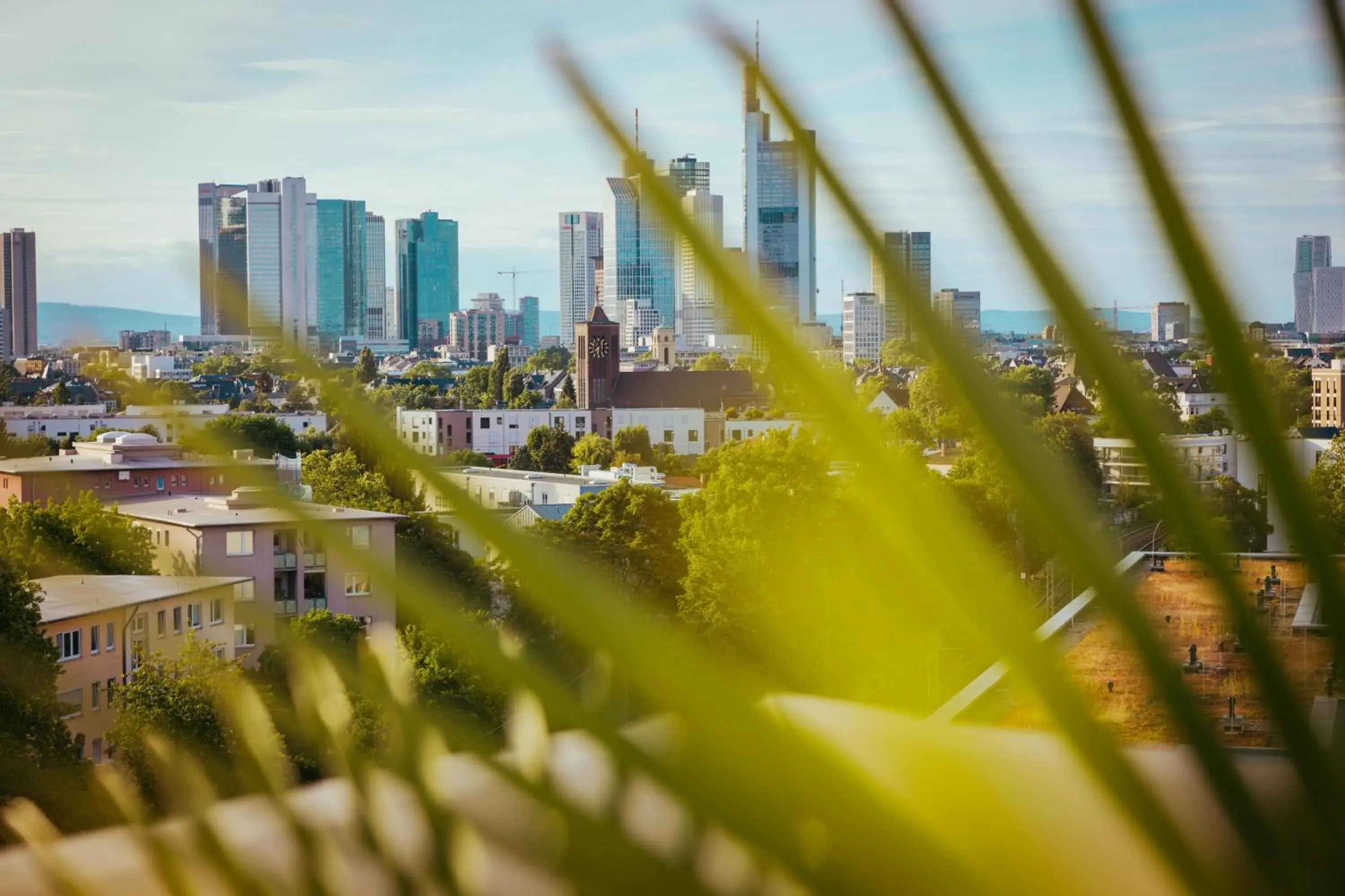 Restaurant/places to eat in The Blasky Restaurant/places to eat in The Blasky