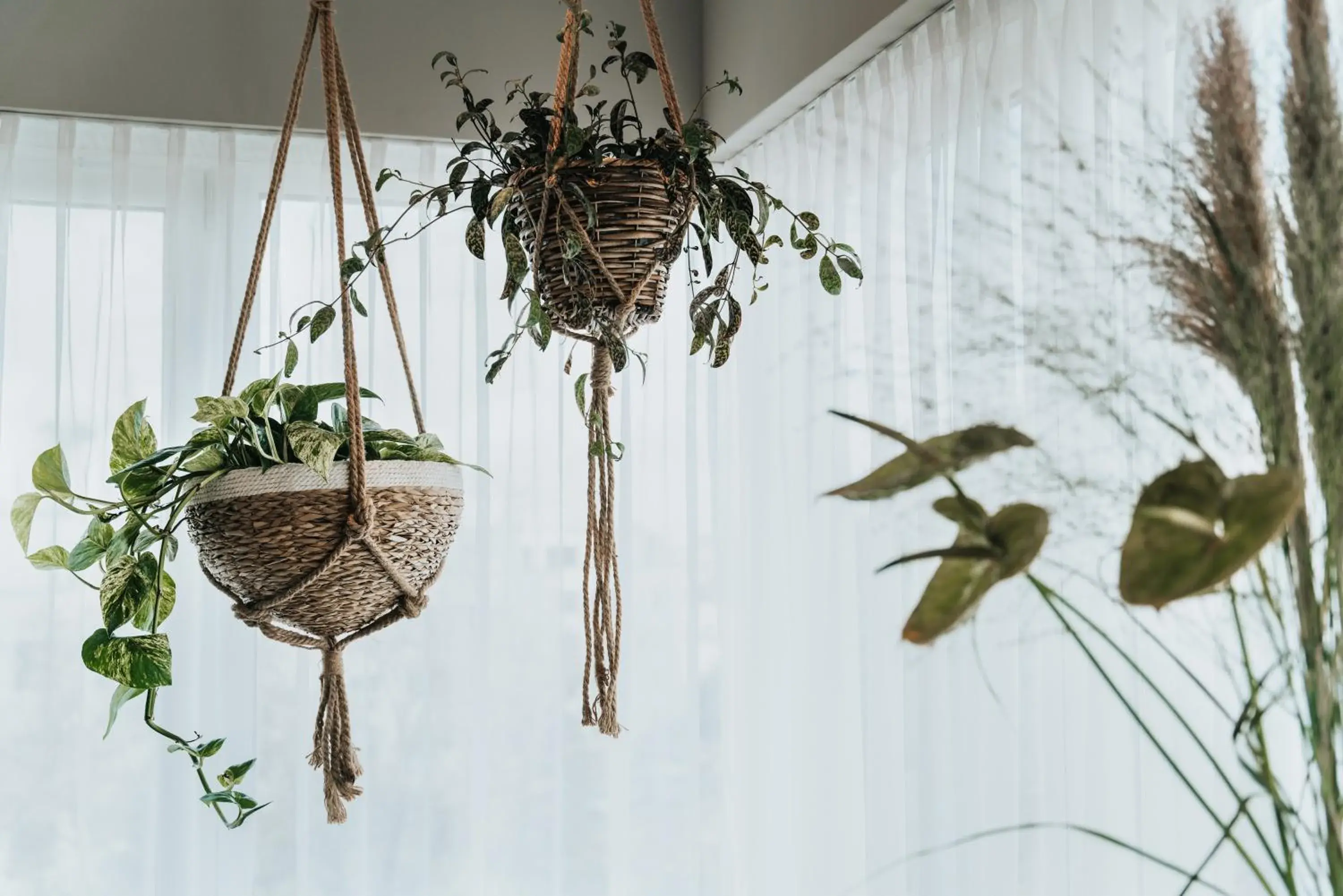 Deluxe Double or Twin Room in The Blasky Deluxe Double or Twin Room in The Blasky