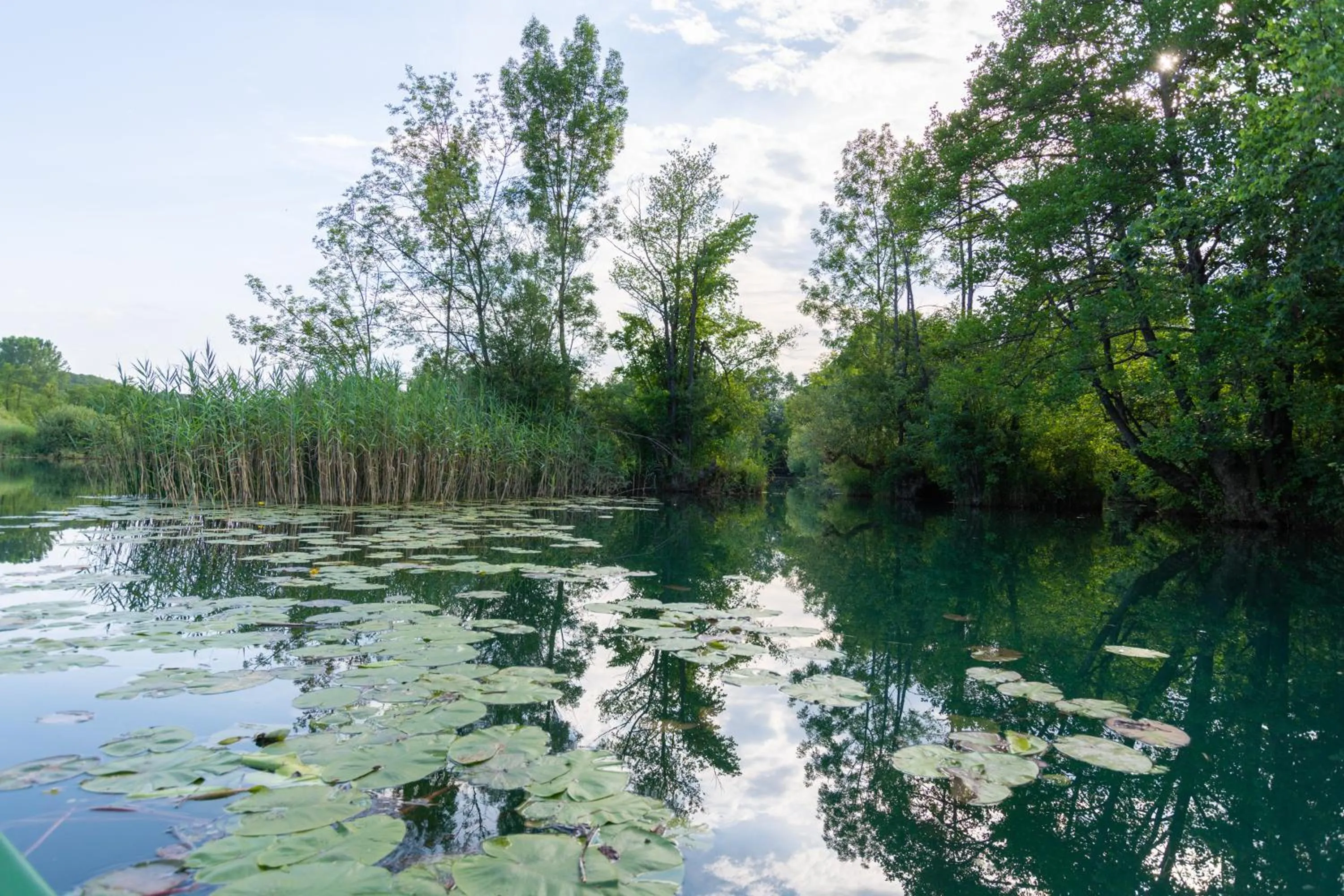Natural landscape in Pampas apartments Mrežnica