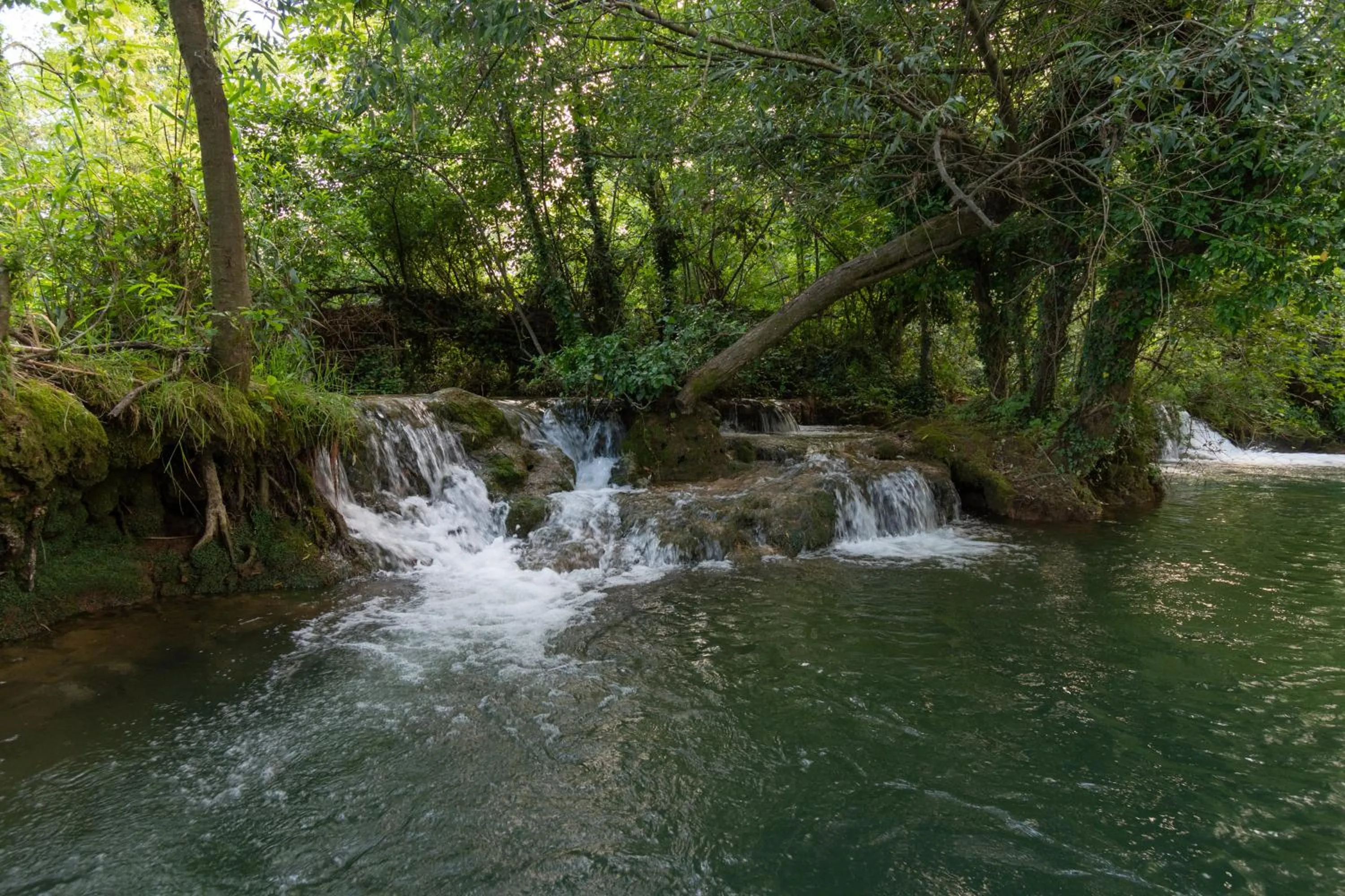 Natural landscape in Pampas apartments Mrežnica