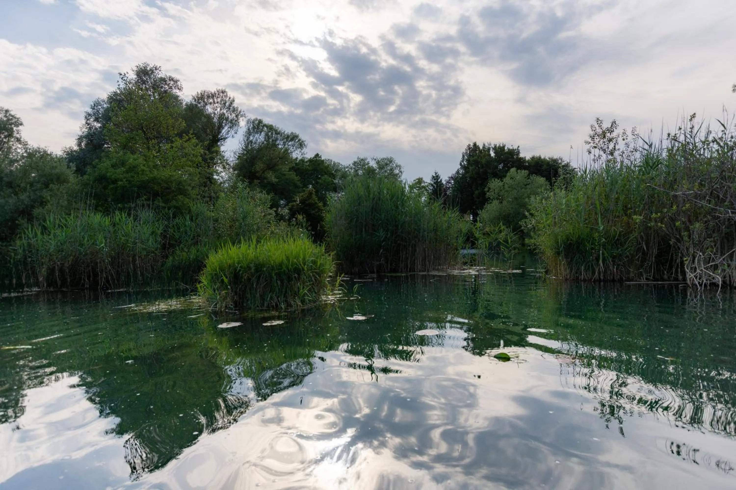 Natural landscape in Pampas apartments Mrežnica
