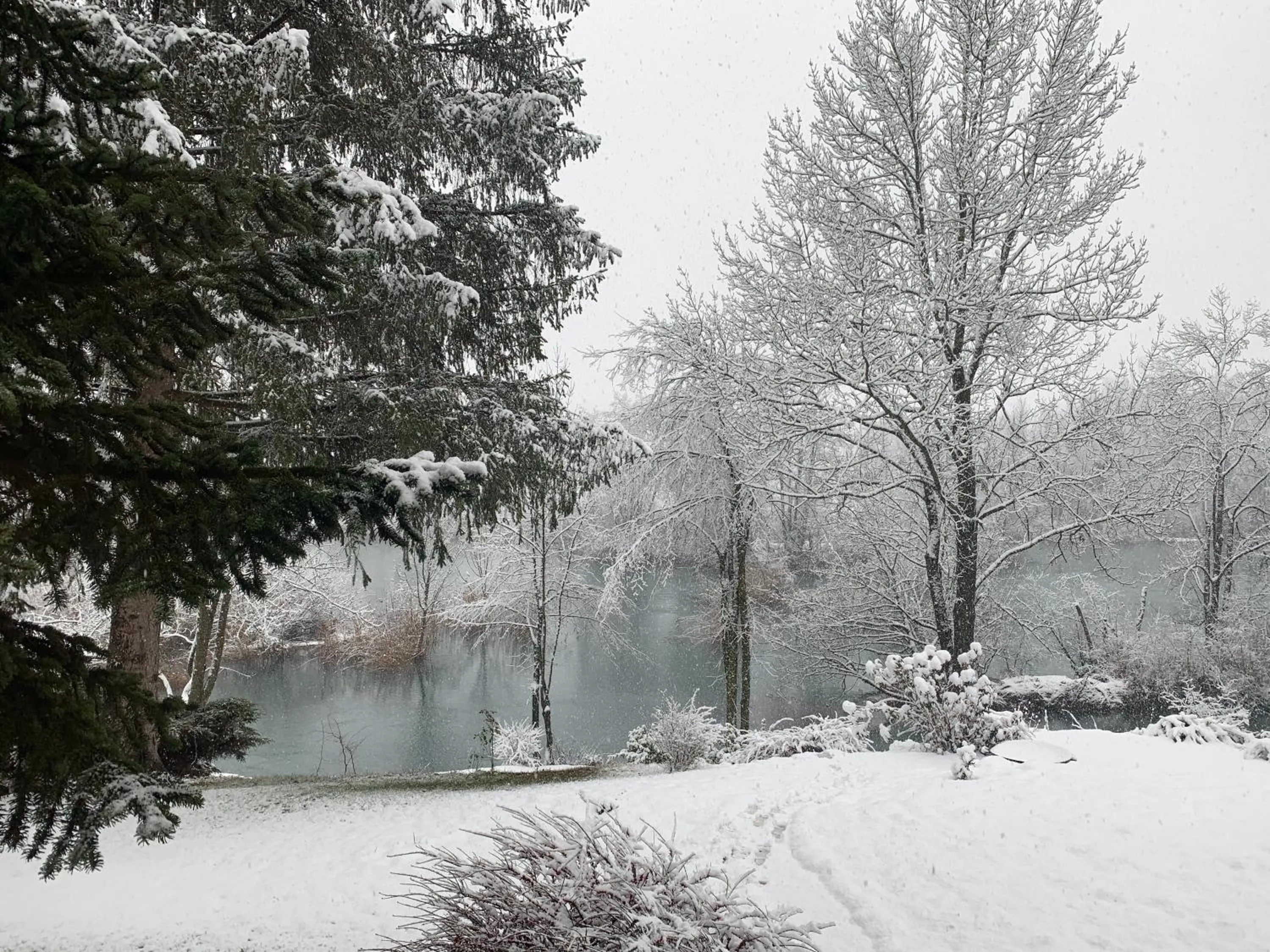 Winter in Pampas apartments Mrežnica