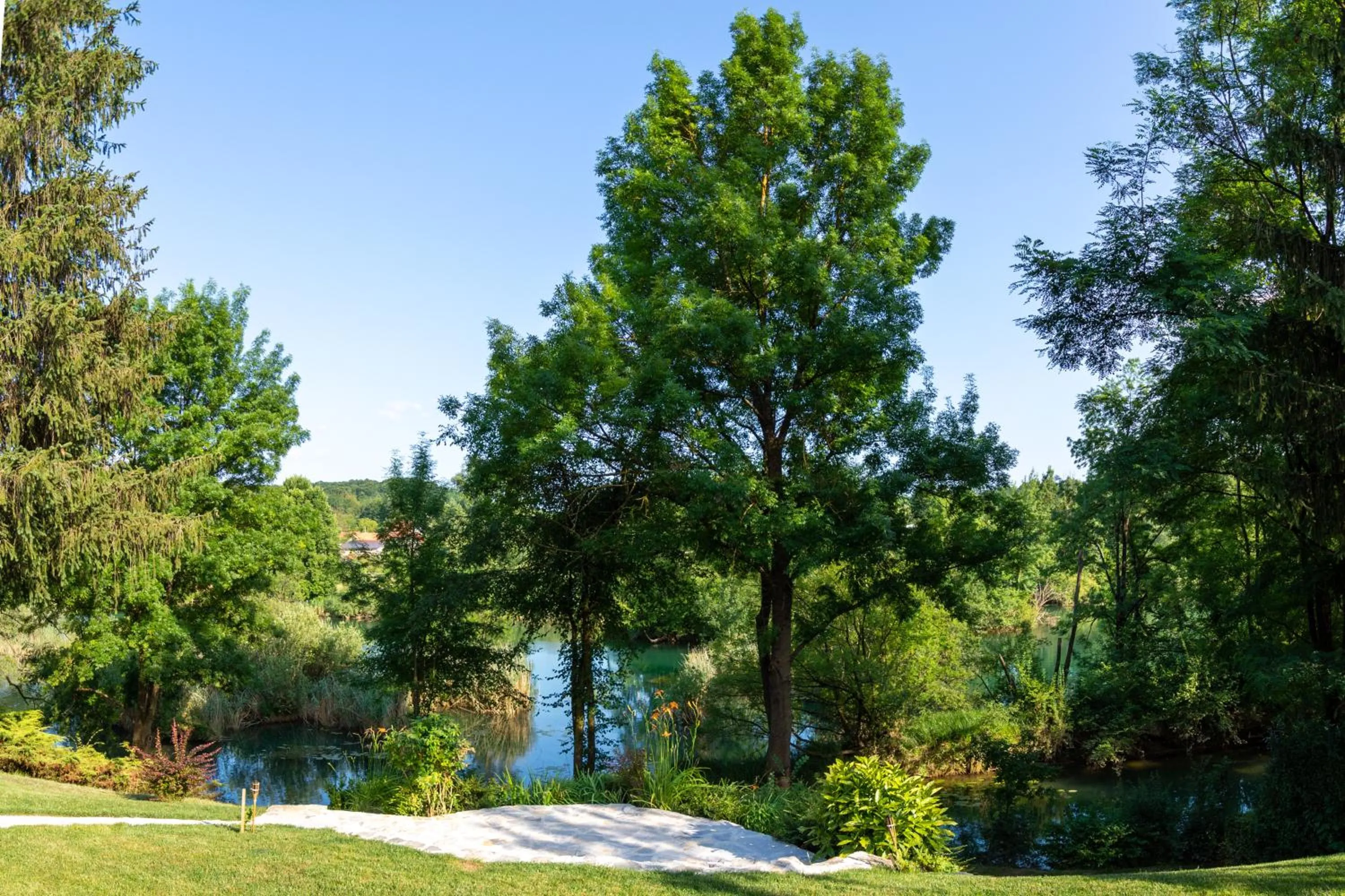 Natural landscape in Pampas apartments Mrežnica