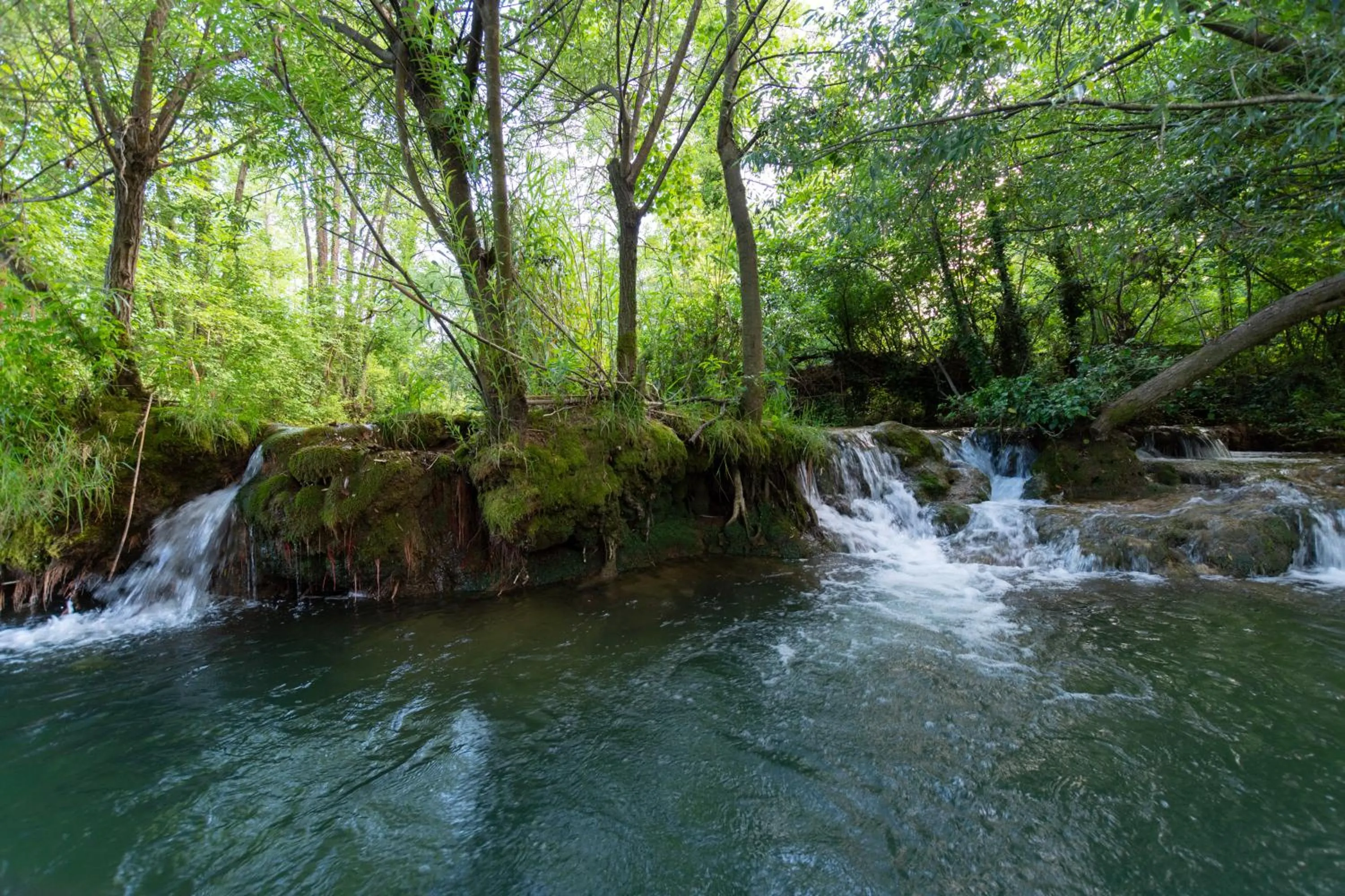 Natural landscape in Pampas apartments Mrežnica