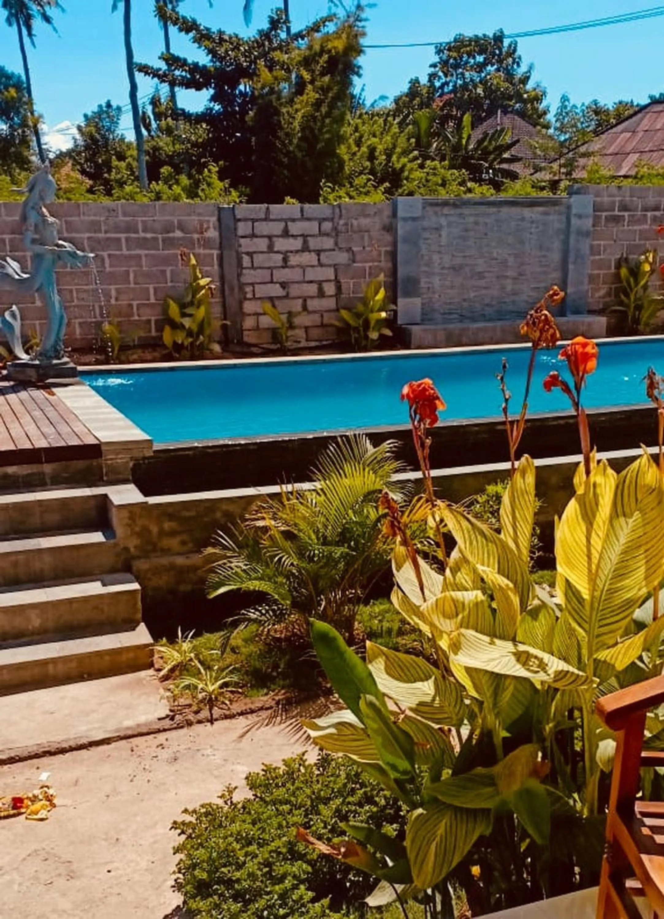 Swimming pool in Dream Beach Hostel Lembongan
