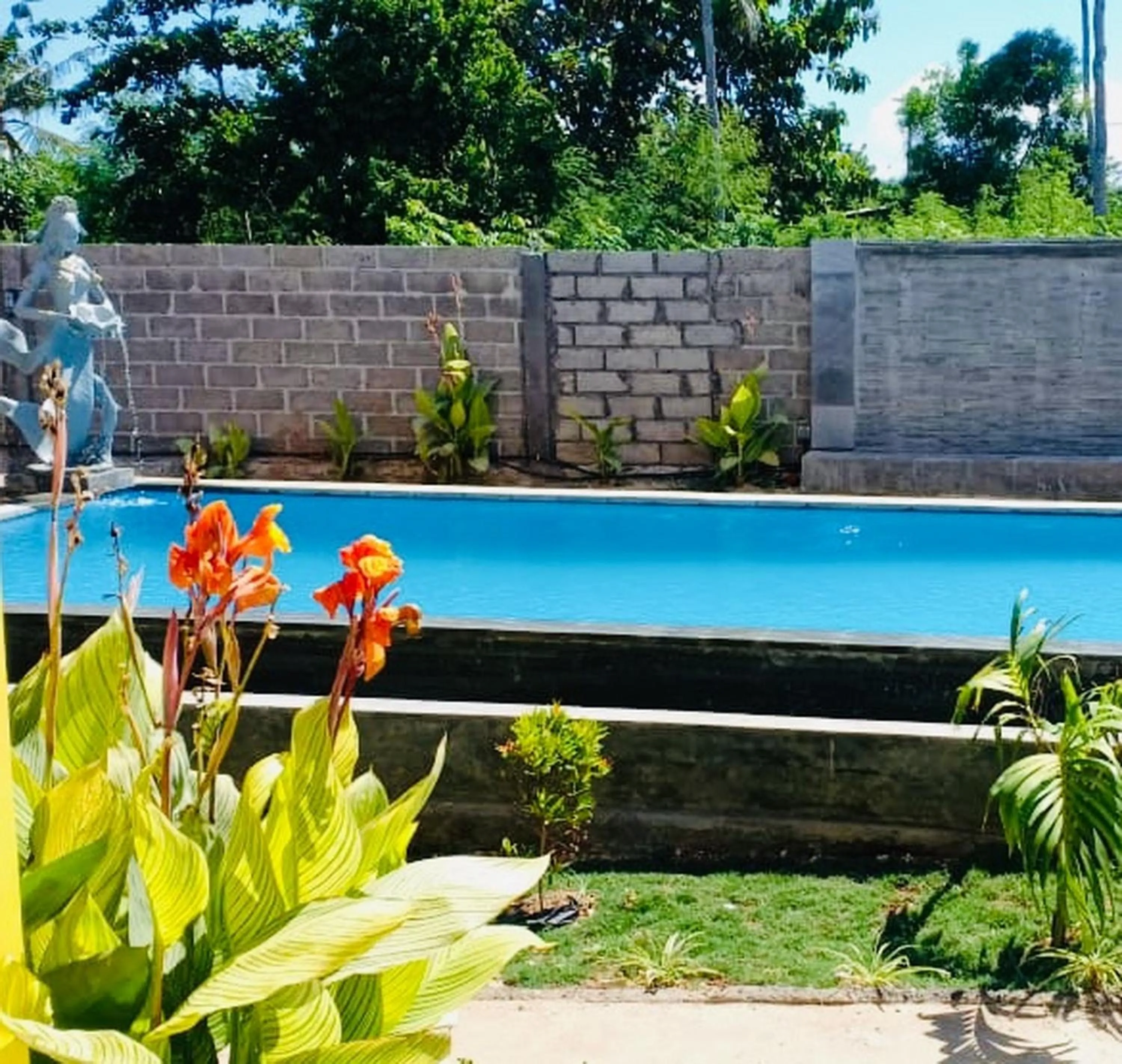 Swimming pool in Dream Beach Hostel Lembongan