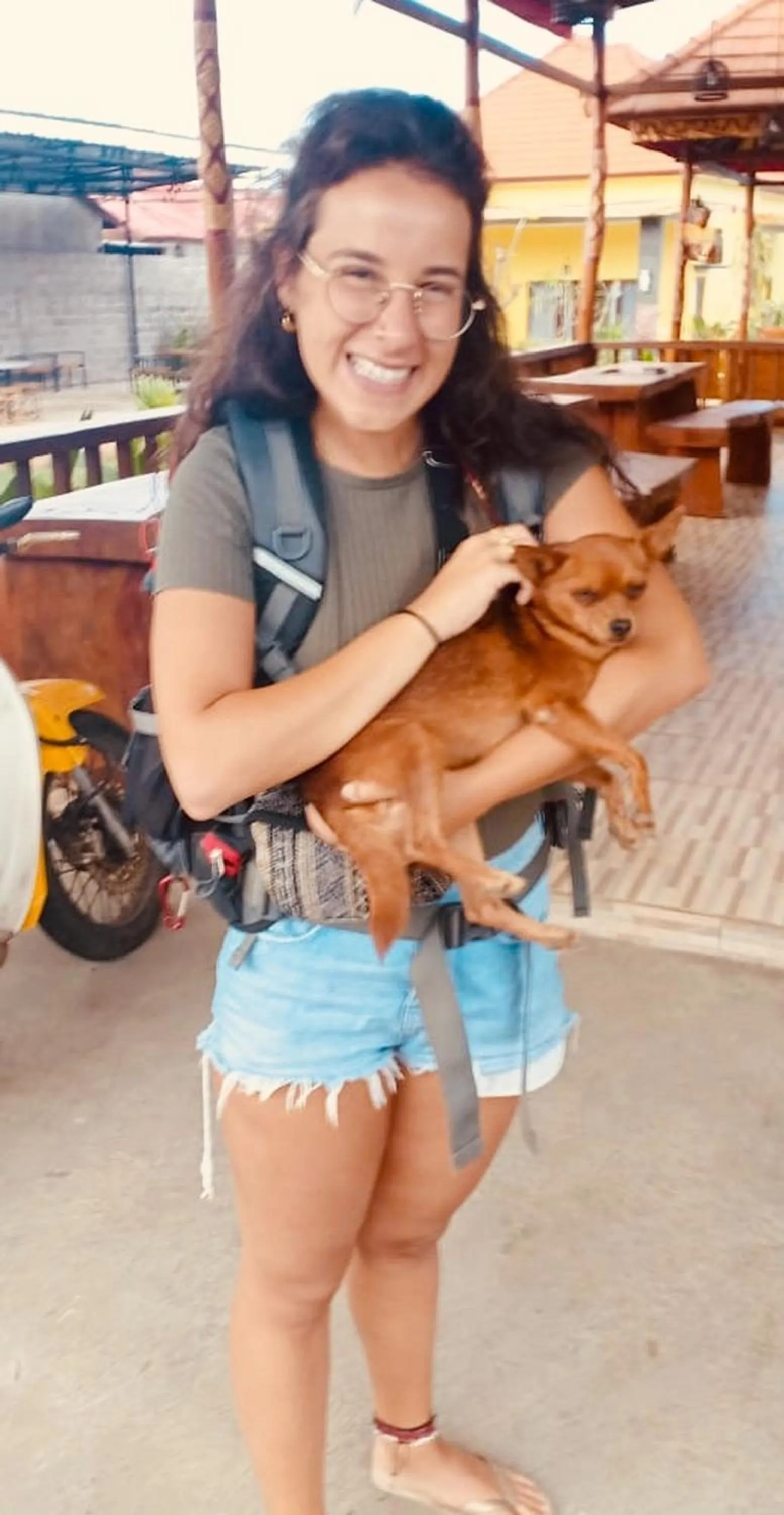 Pets in Dream Beach Hostel Lembongan