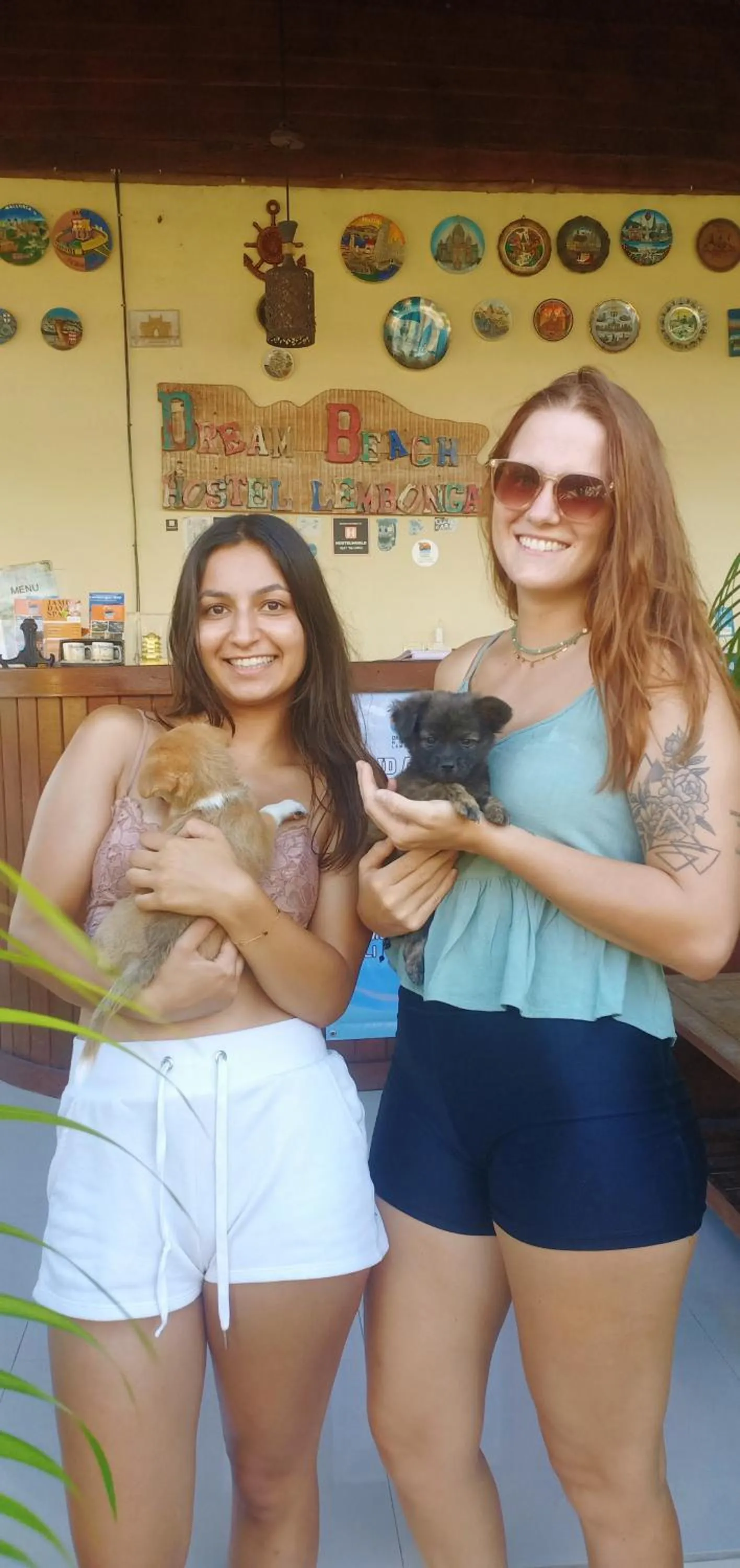 Dream Beach Hostel Lembongan
