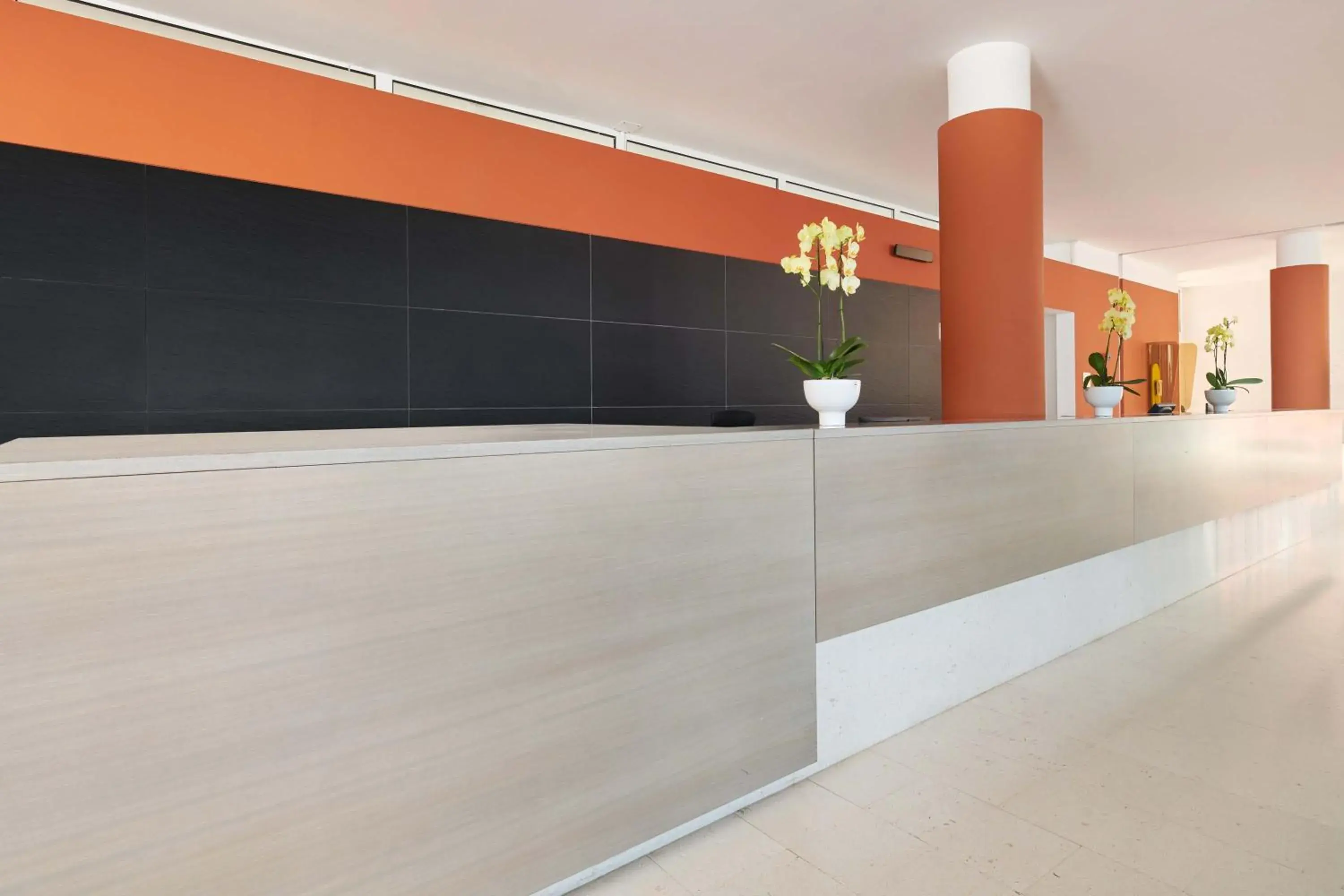 Lobby or reception in Hotel Albatros Plava Laguna Lobby or reception in Hotel Albatros Plava Laguna