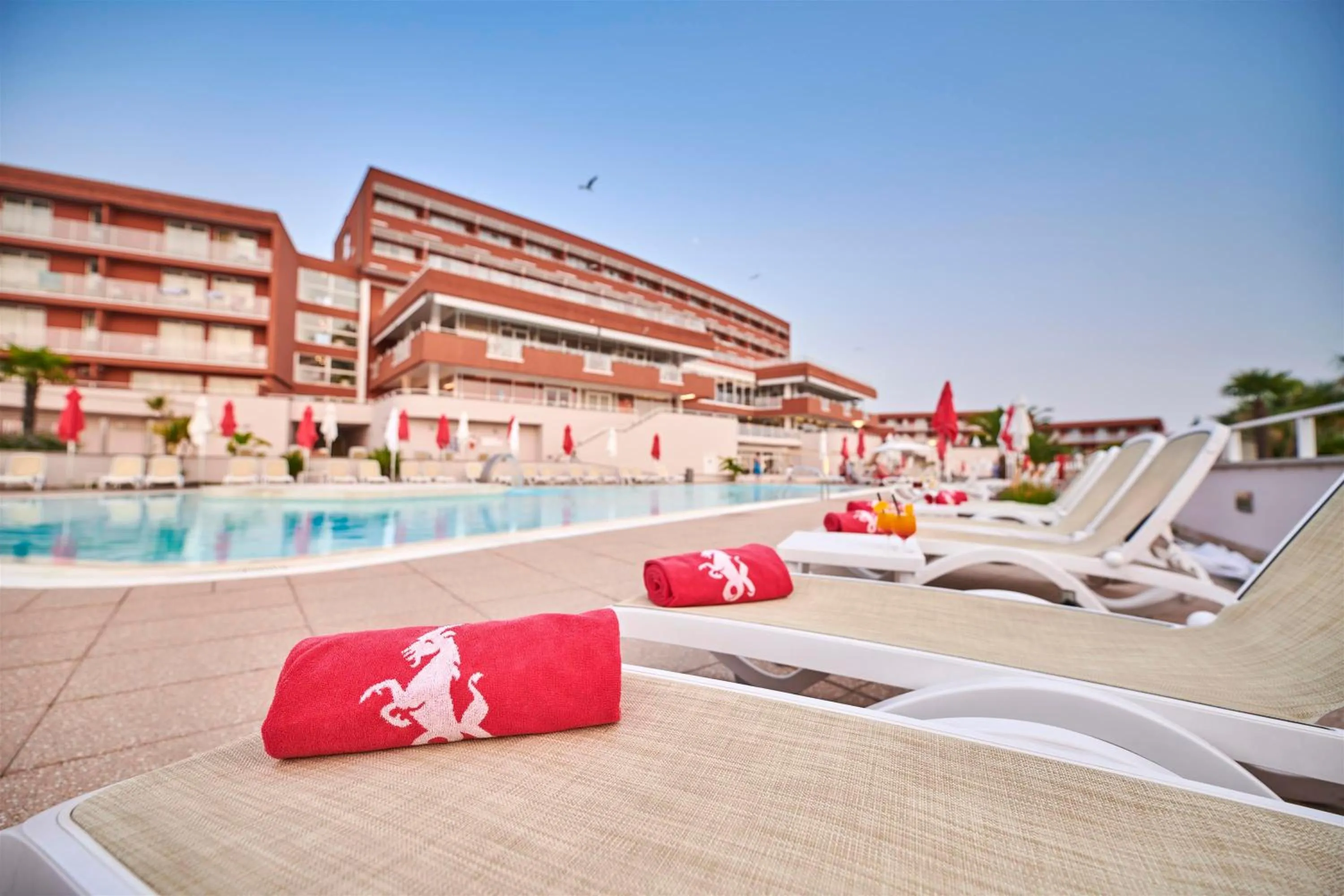 Swimming pool in Hotel Albatros Plava Laguna