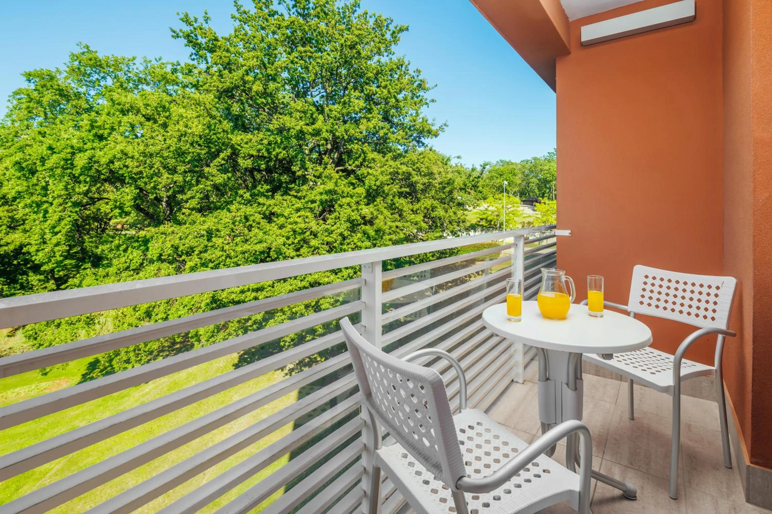 Balcony/Terrace in Hotel Albatros Plava Laguna