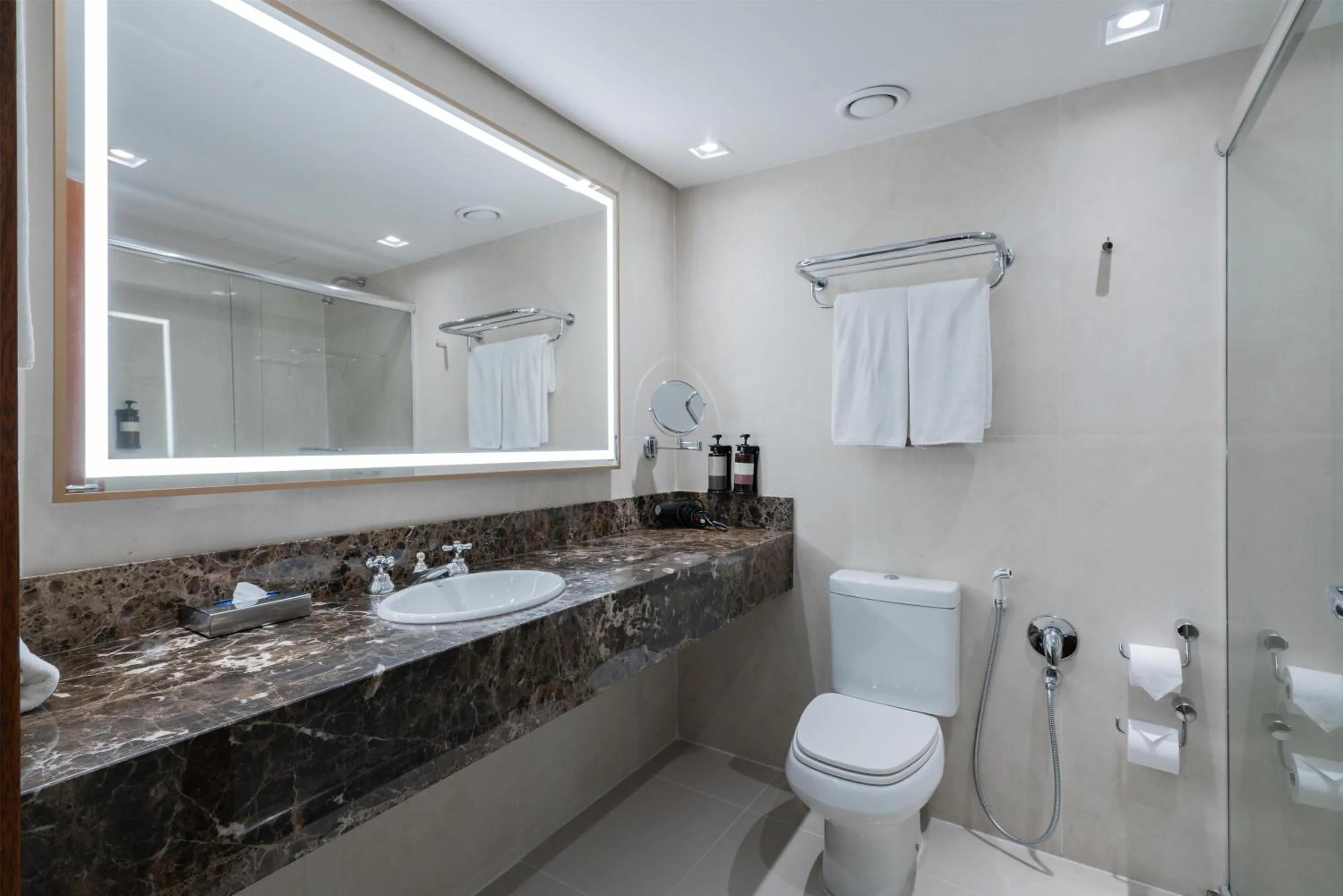 Bathroom in Hilton Porto Alegre, Brazil