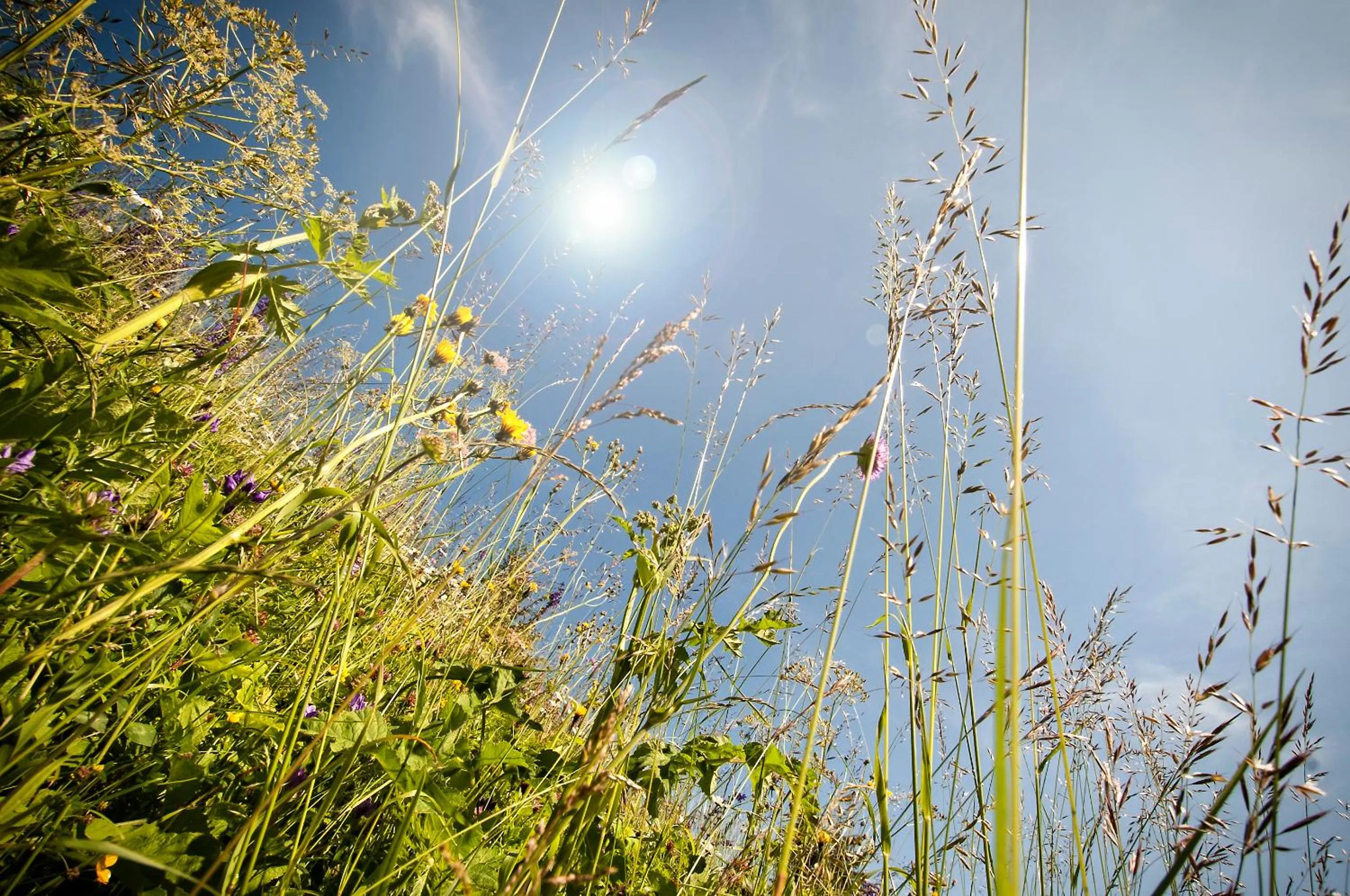 Neighbourhood in Garnì Aurora Bed and Breakfast
