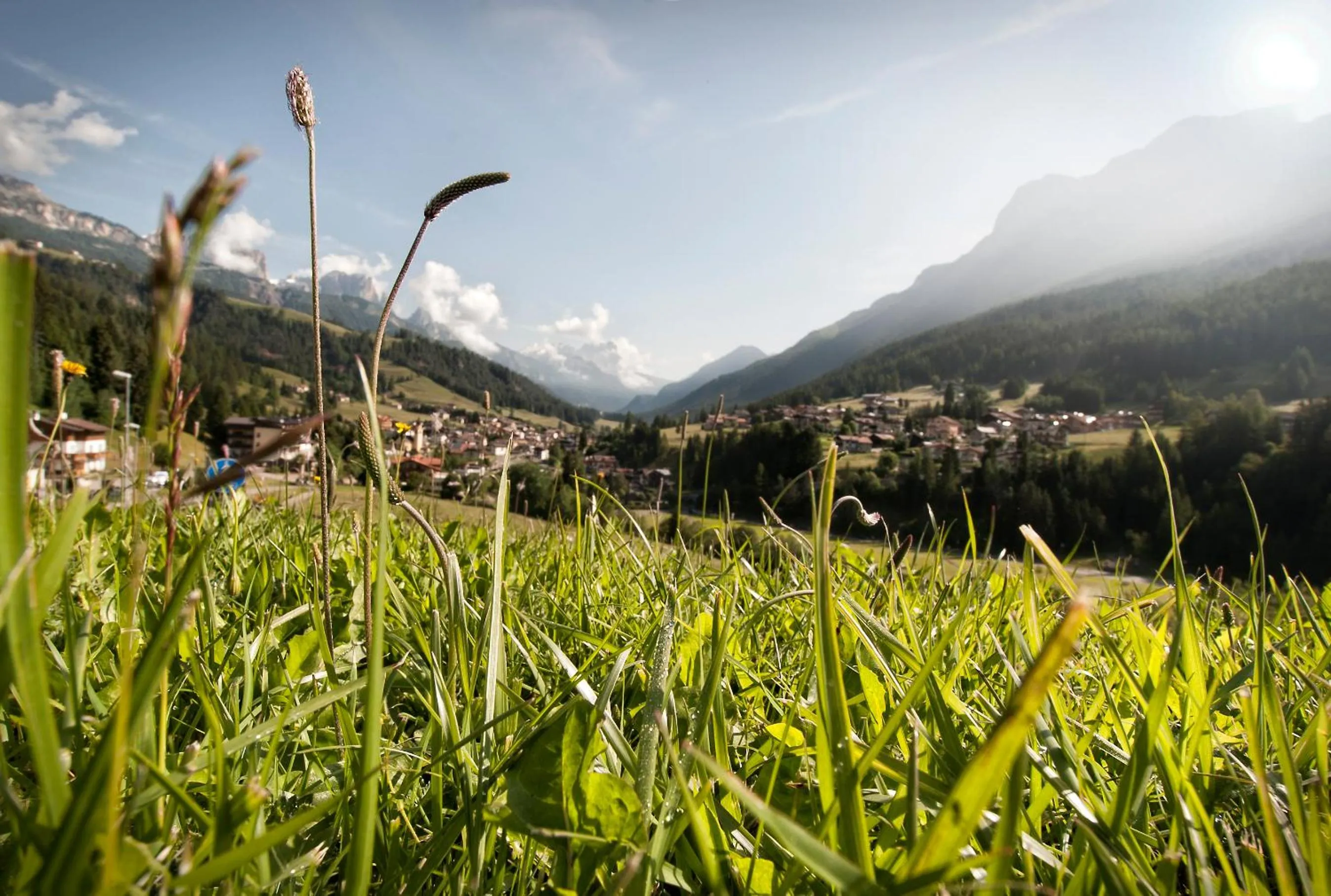 Neighbourhood in Garnì Aurora Bed and Breakfast