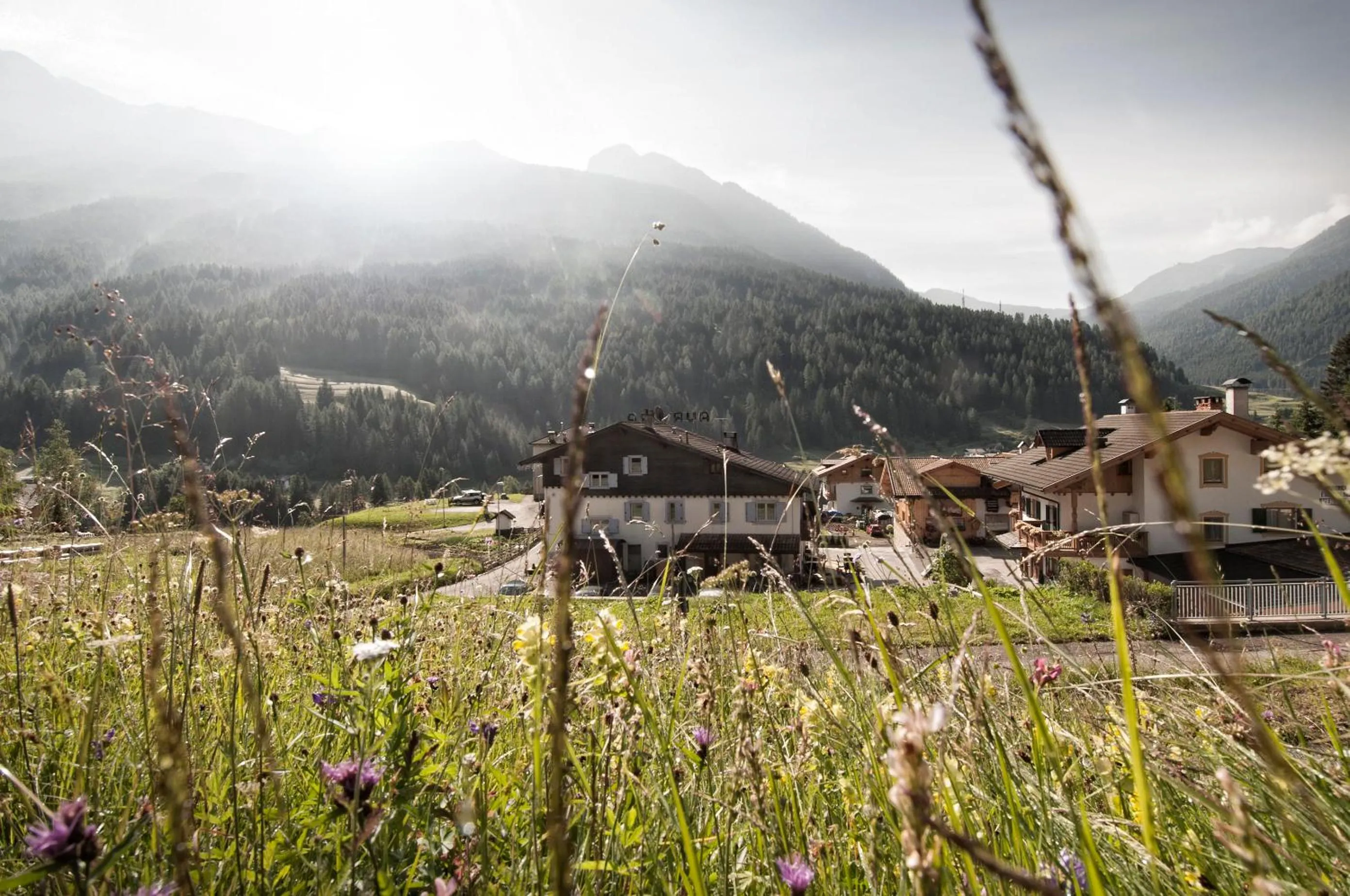 Neighbourhood in Garnì Aurora Bed and Breakfast