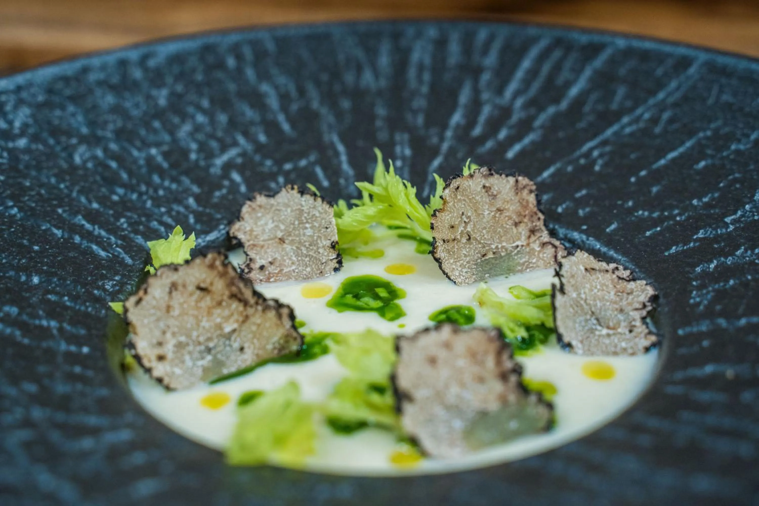 Srebrny Bucznik Wellness & Restaurant