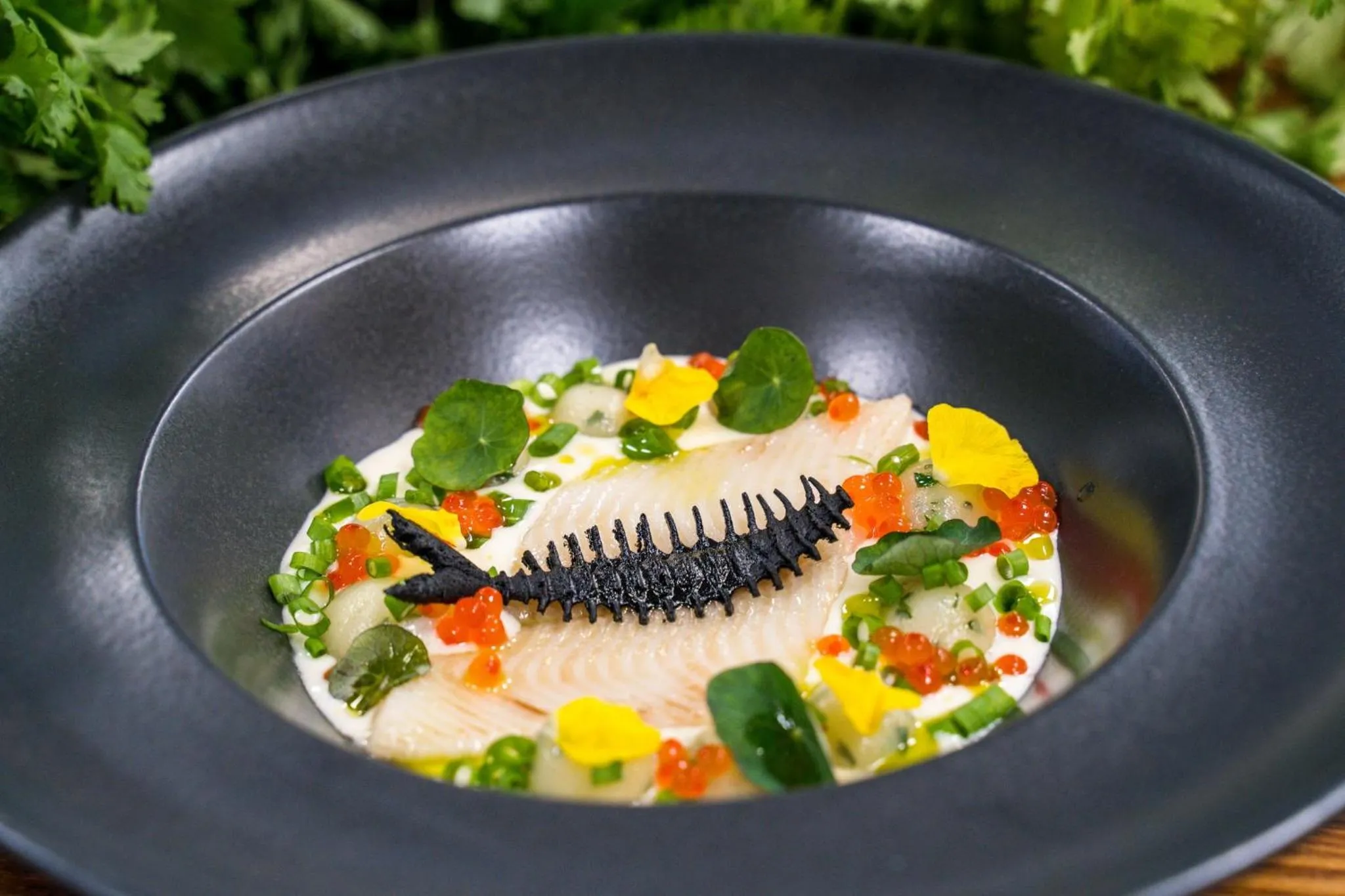 Srebrny Bucznik Wellness & Restaurant