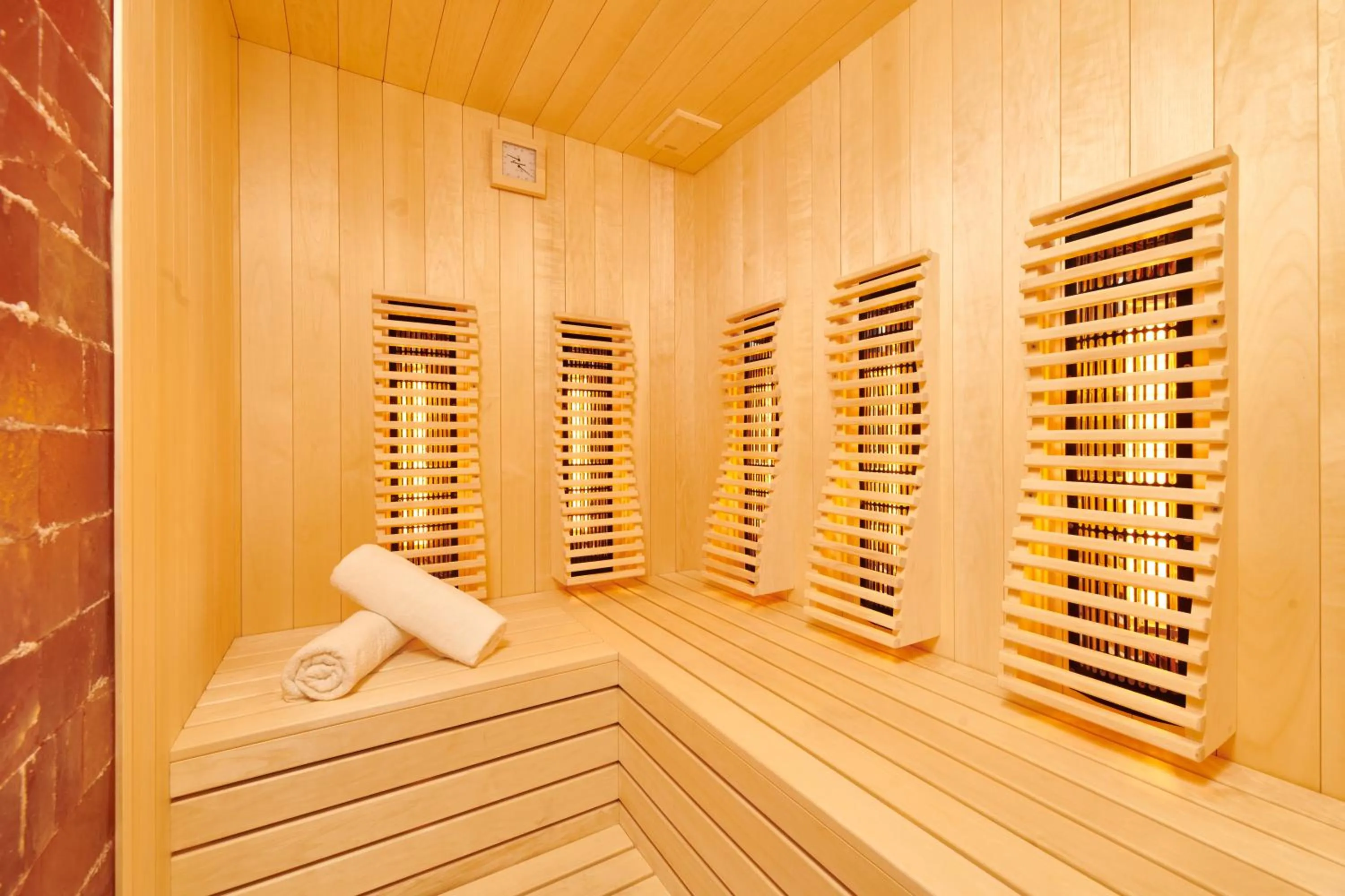 Spa and wellness centre/facilities in Hotel Park Plava Laguna