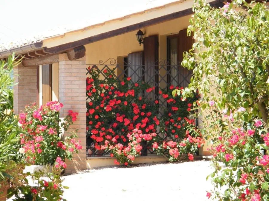 Agriturismo Casale del Contadino