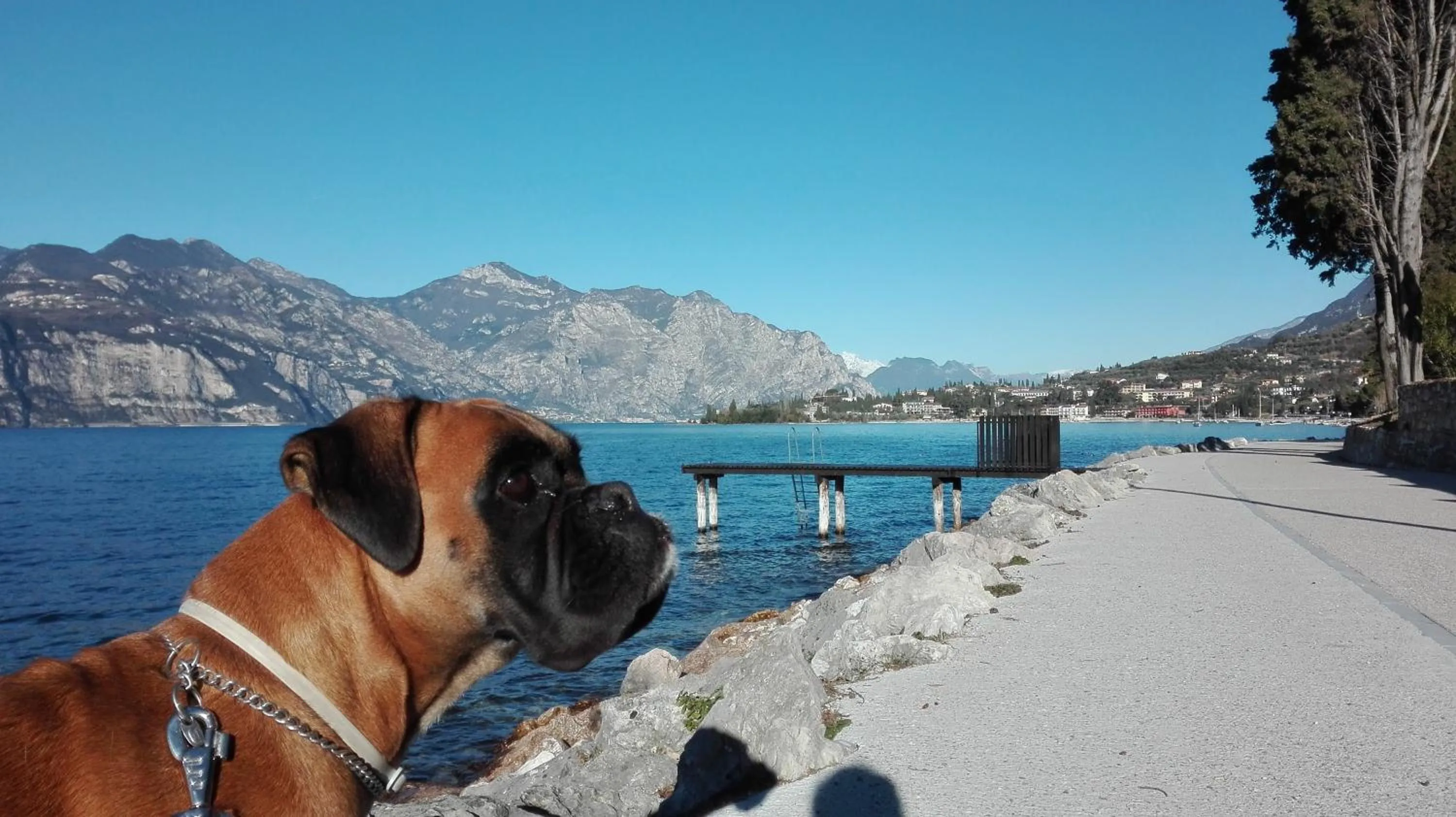 Natural landscape in B&B Casa Sartori