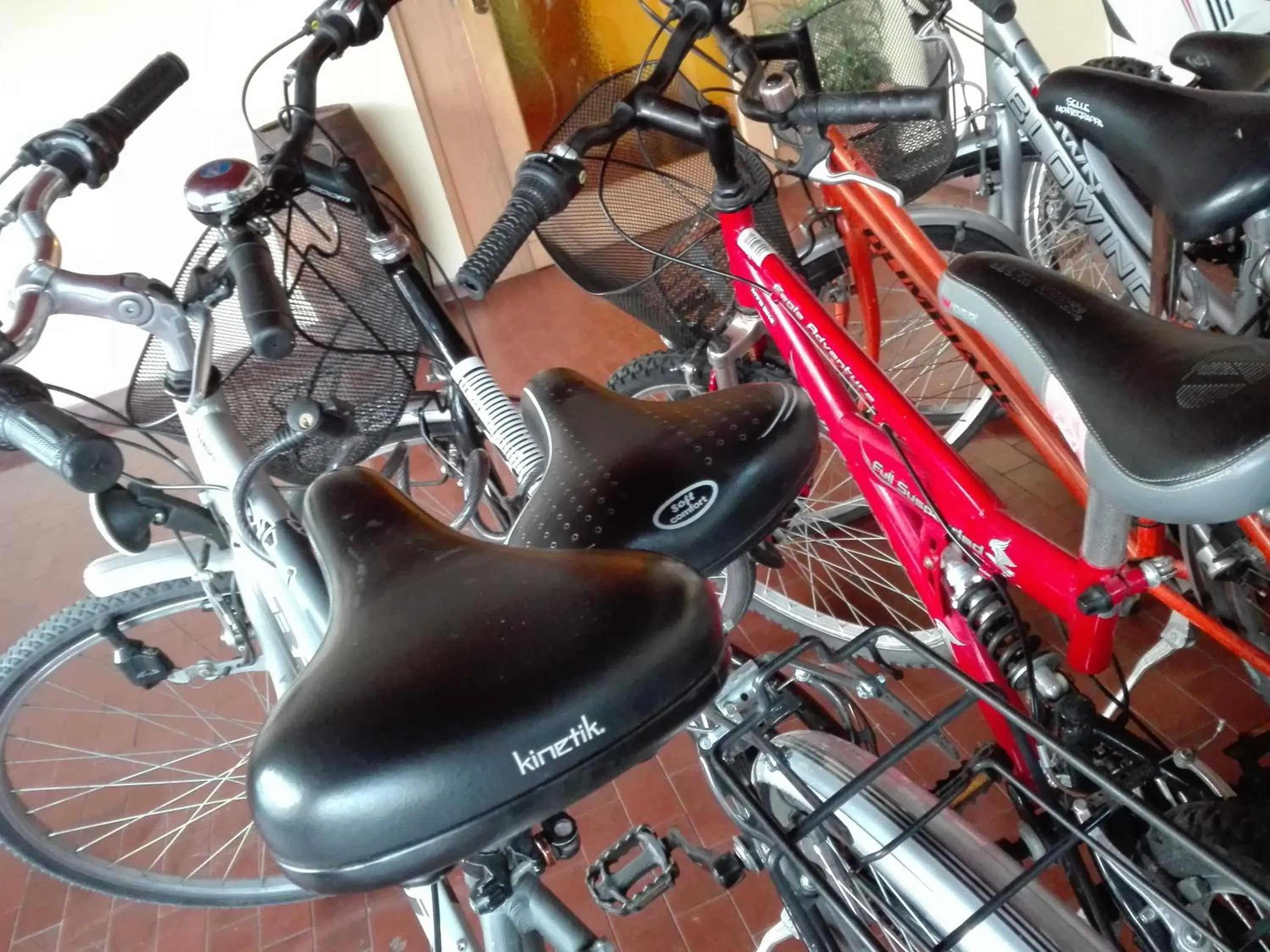 Cycling in B&B Casa Sartori