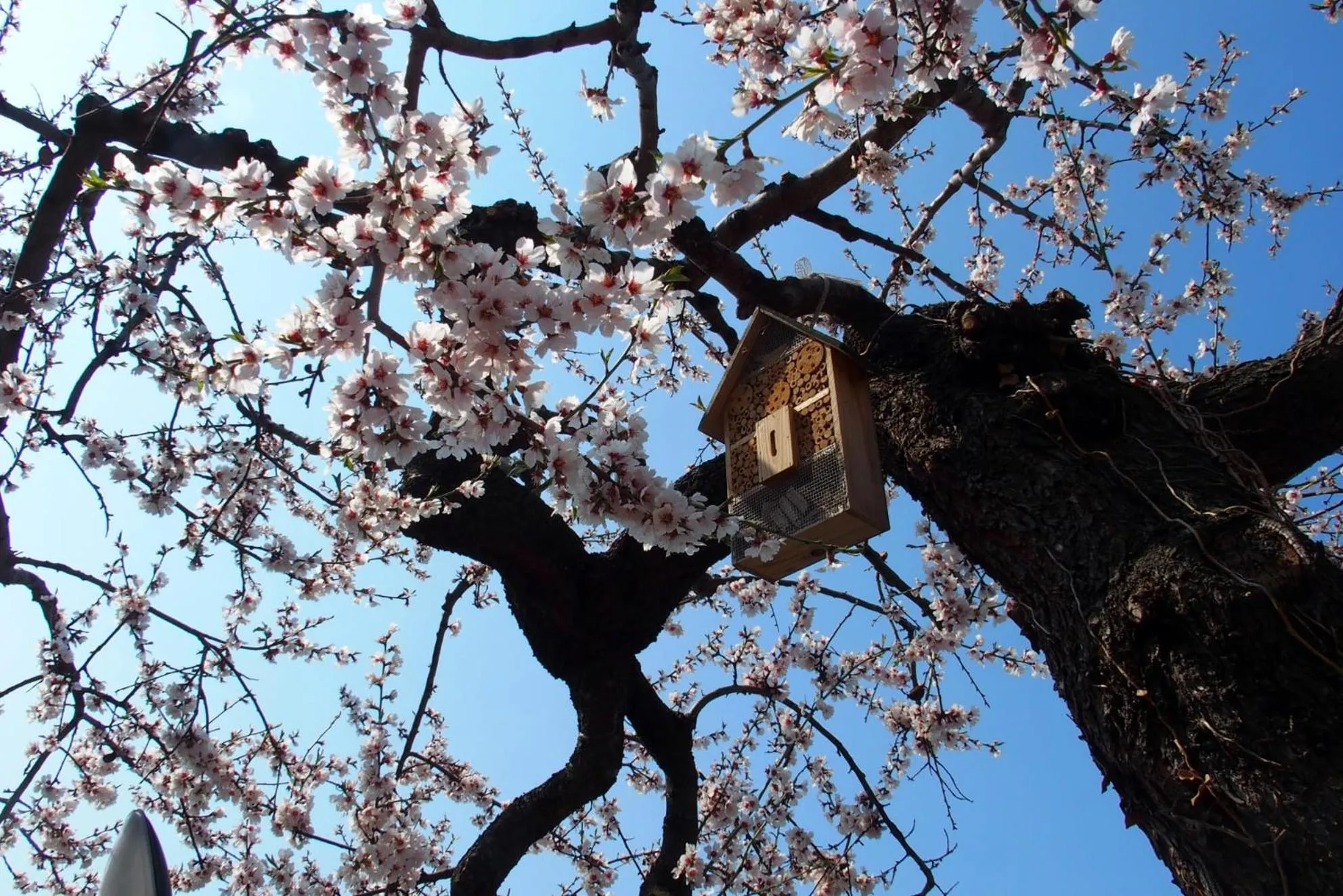 Property building in B&B Casa Sartori