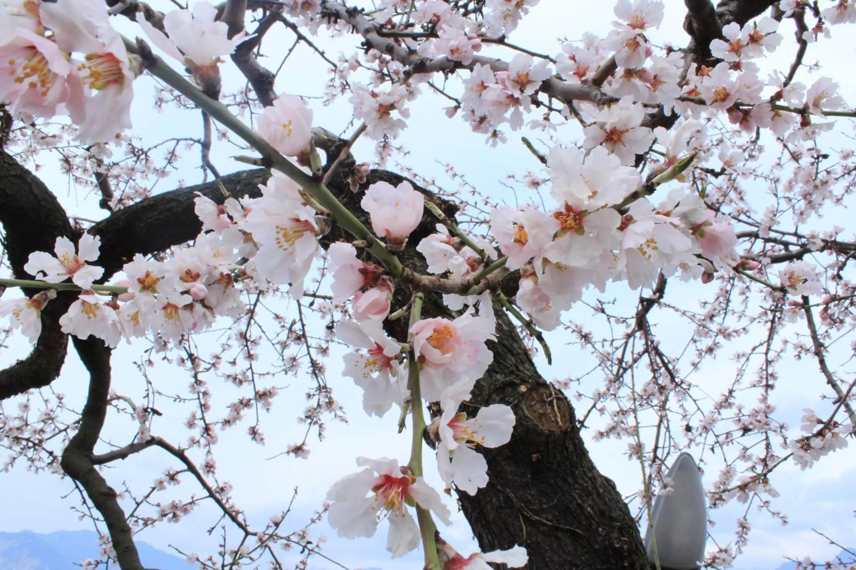 Spring in B&B Casa Sartori