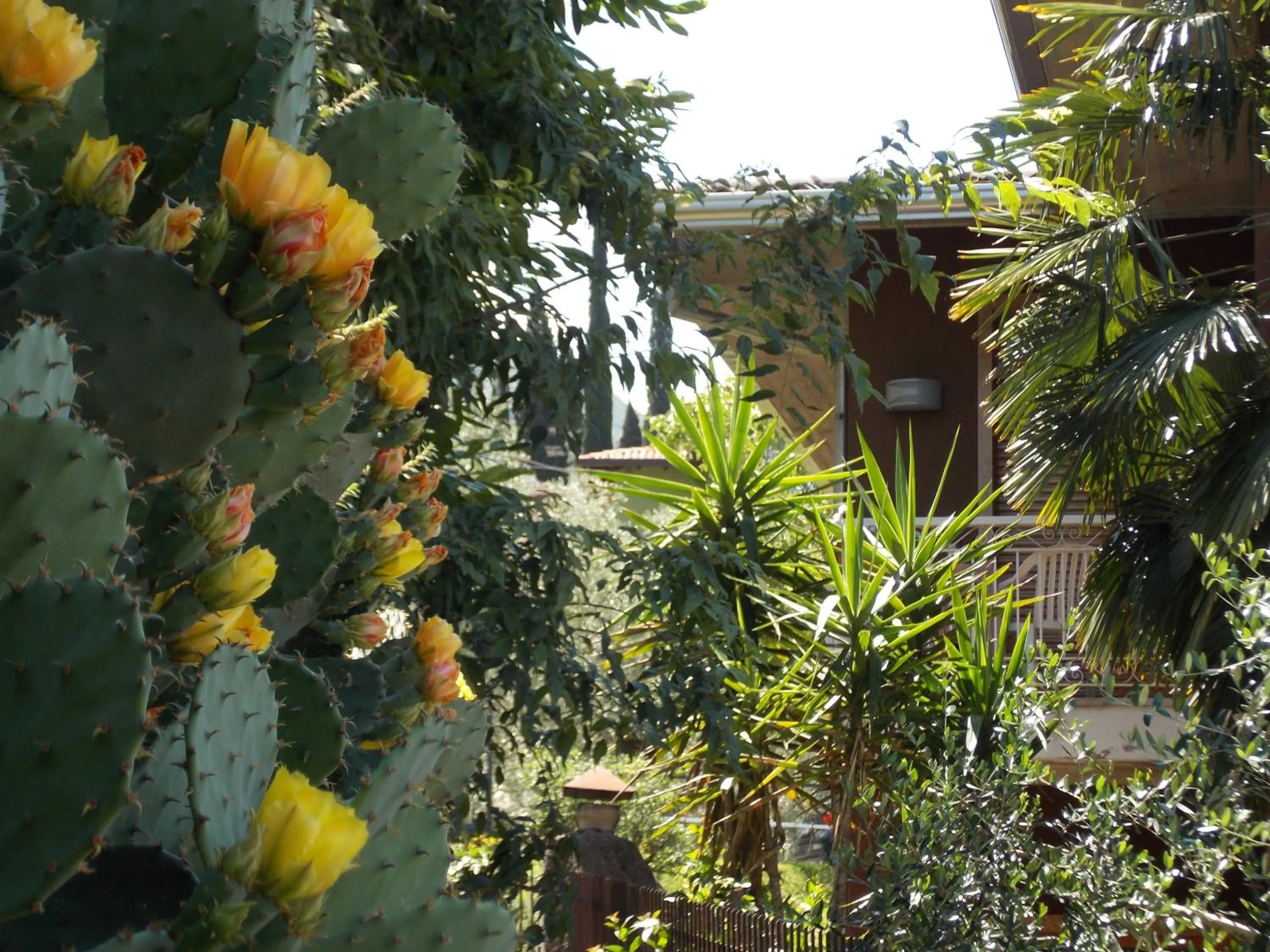 Facade/entrance in B&B Casa Sartori