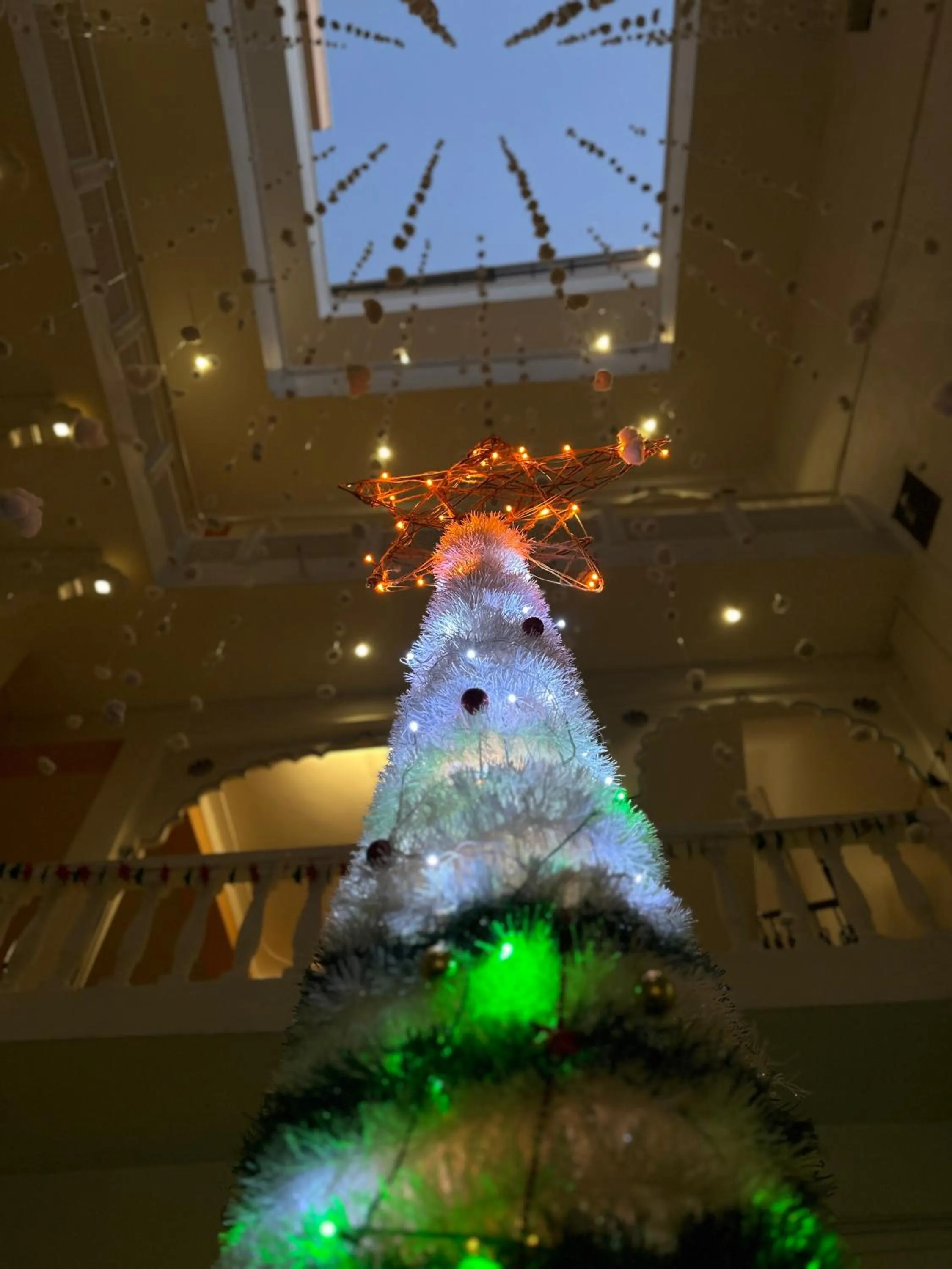 Property building in Hostel Mantra