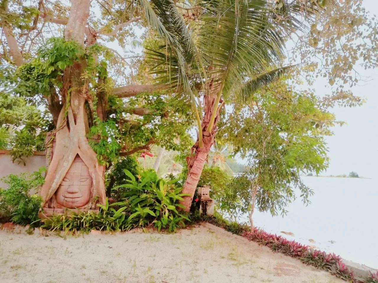 Natural landscape in Grand Sea Beach Resort