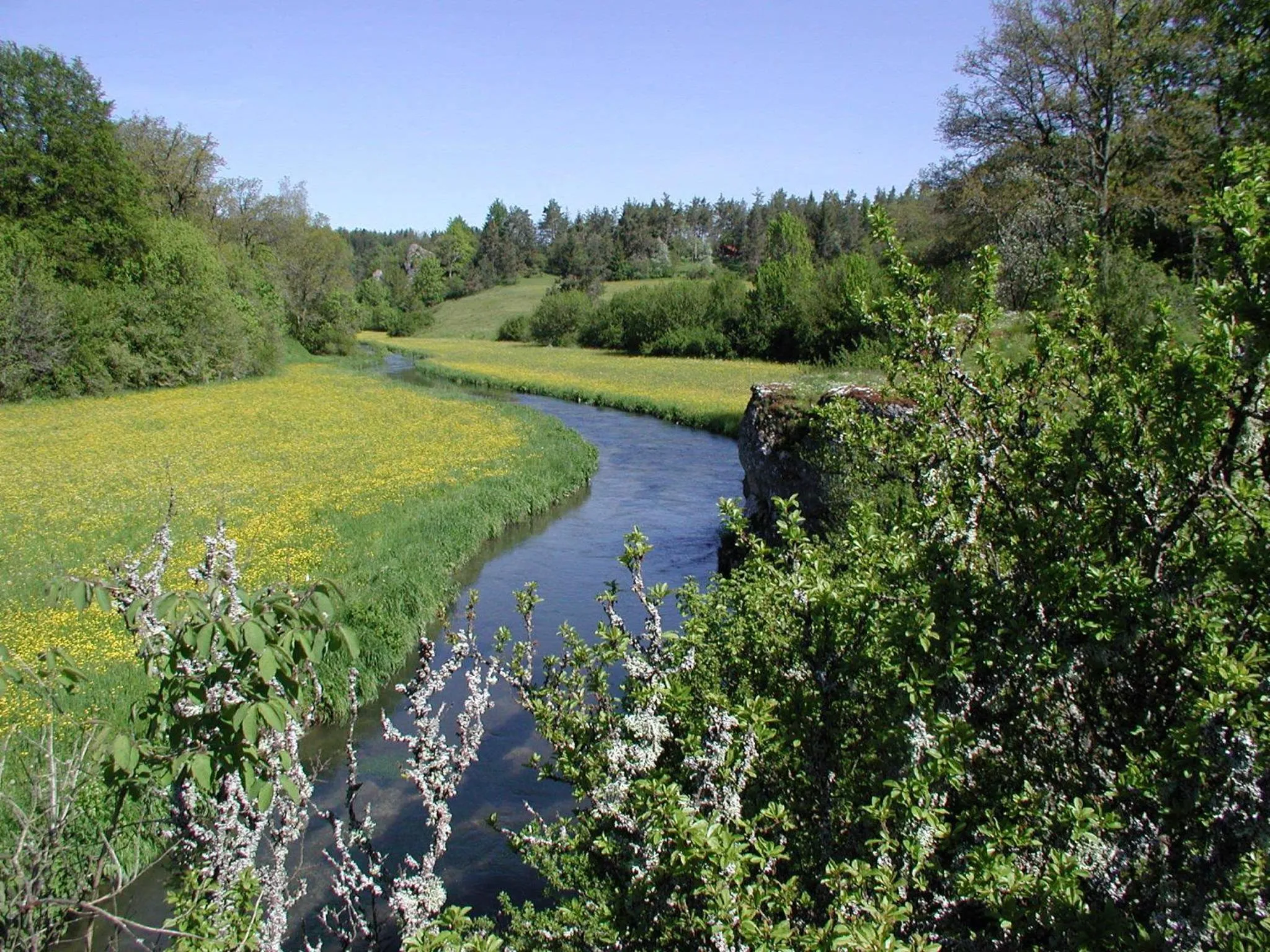Hiking in Hotel Gasthof Rössle