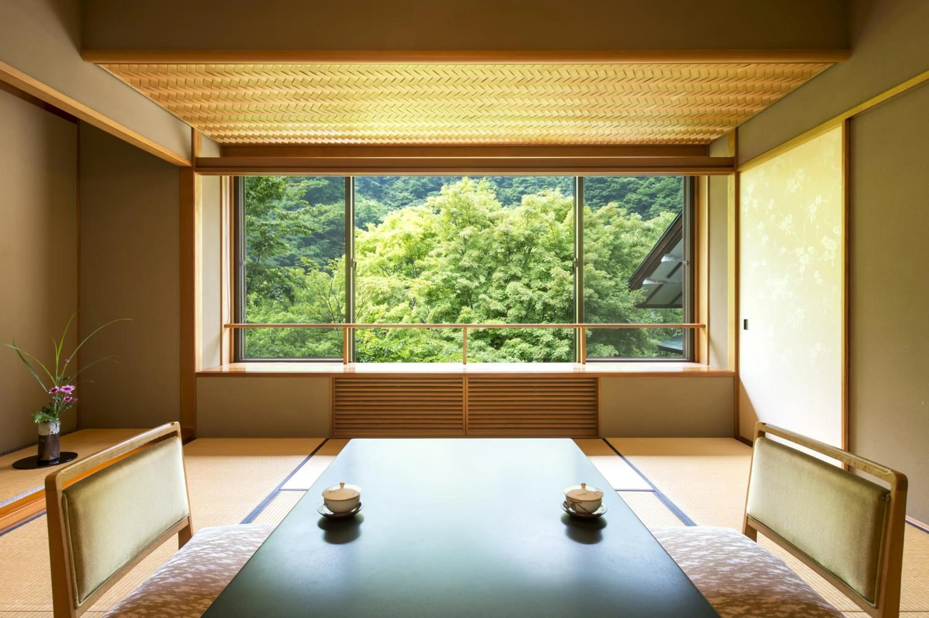 View (from property/room) in Fujiiso