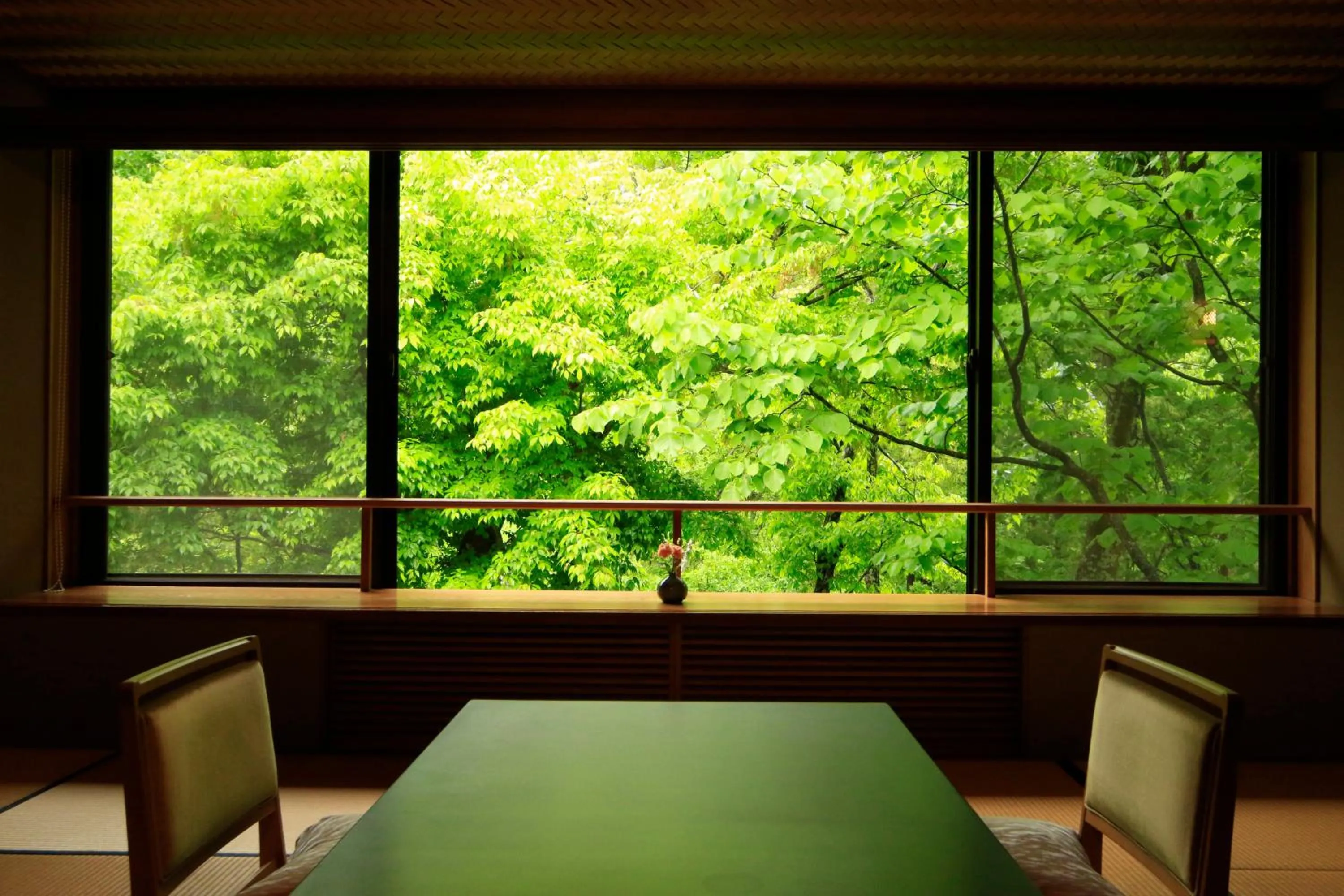 River view in Fujiiso