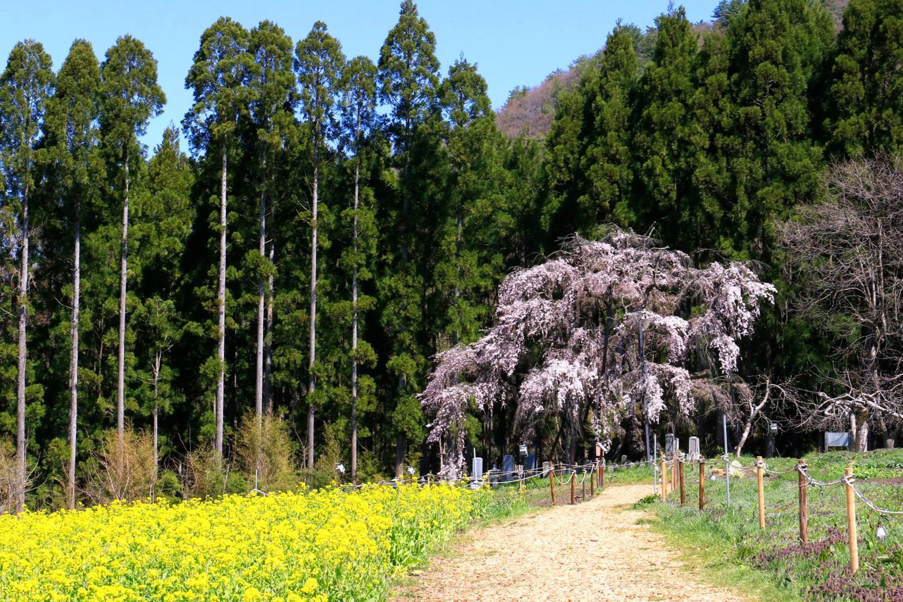 Nearby landmark in Fujiiso