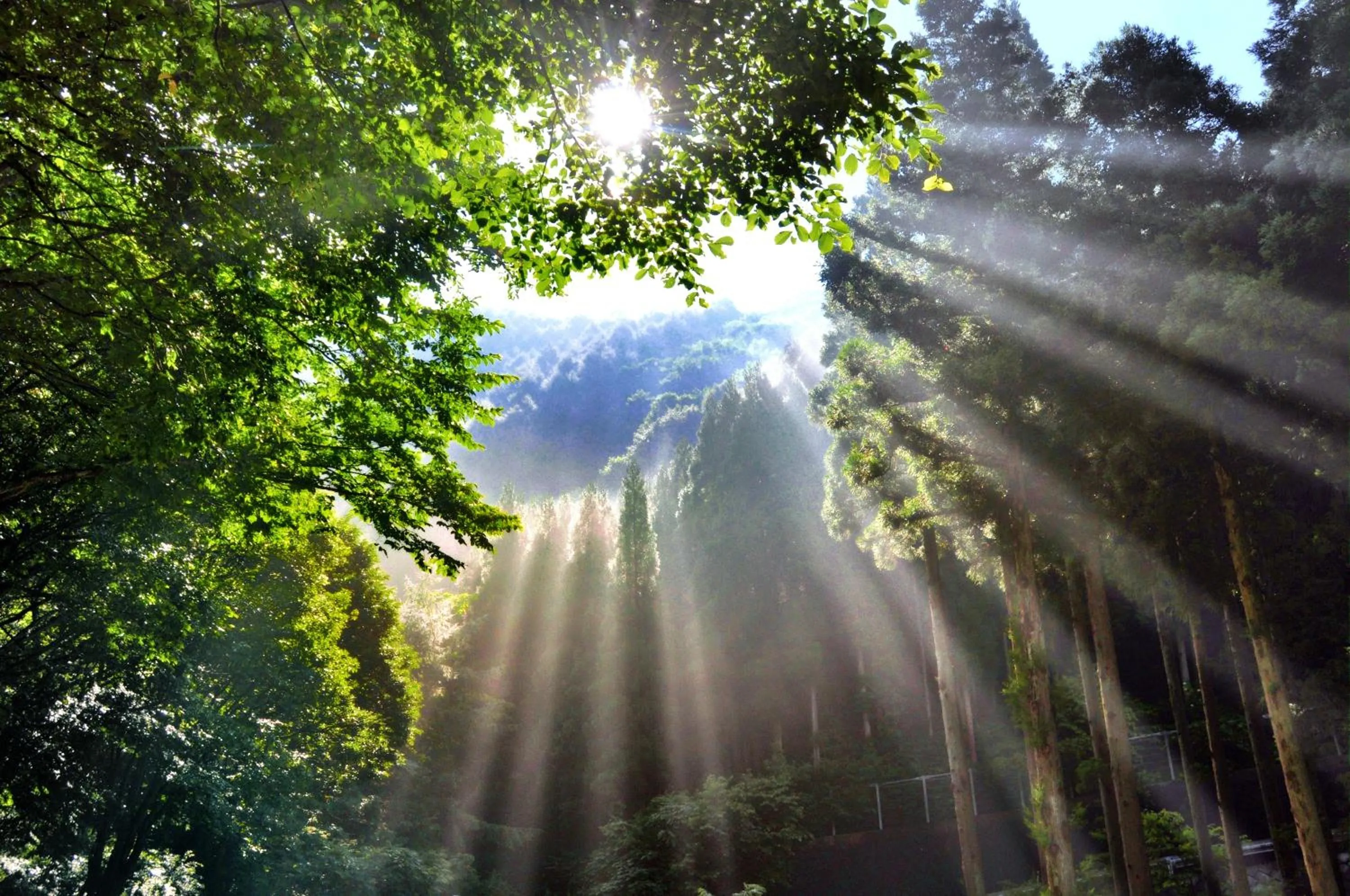 Nearby landmark in Fujiiso
