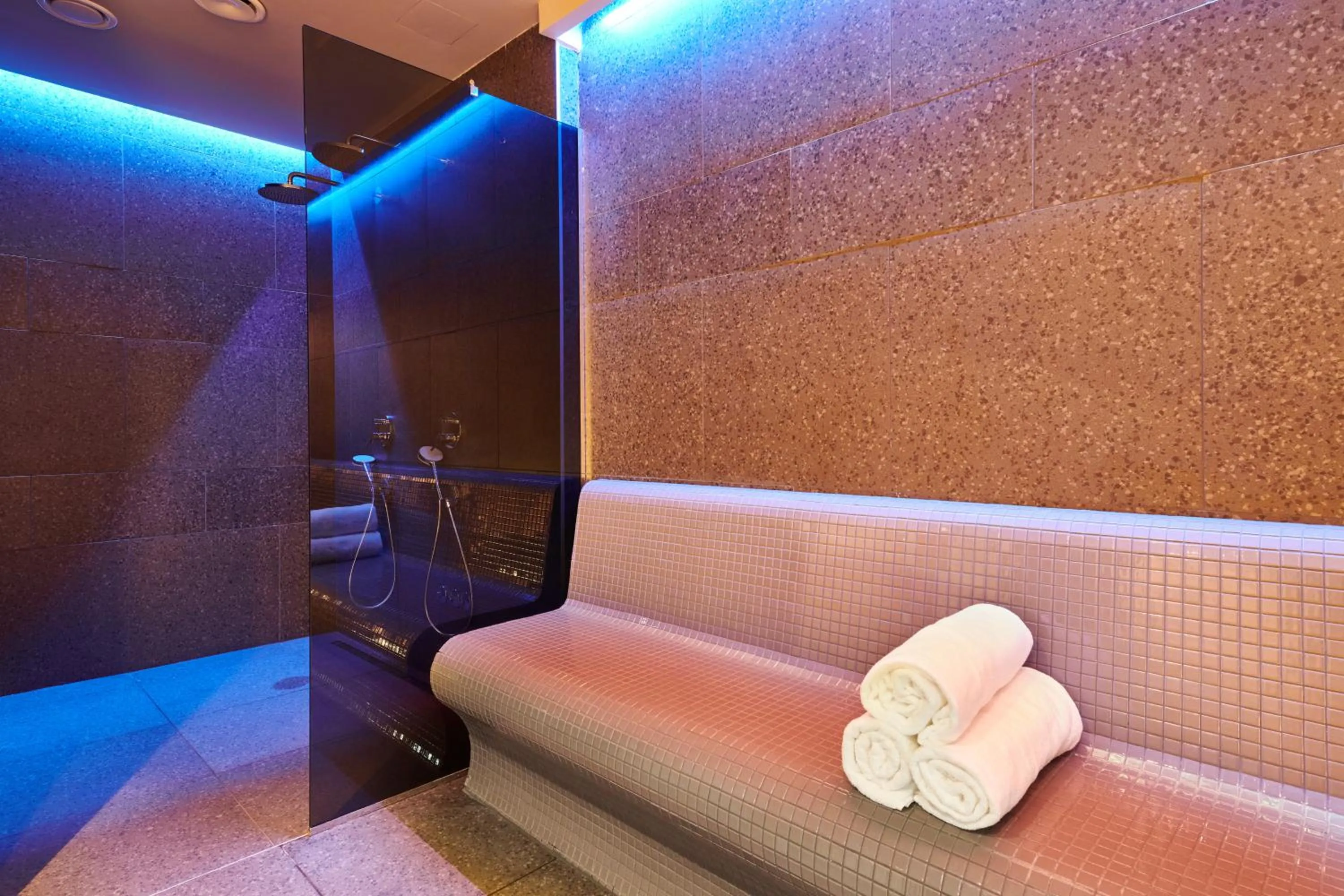 Spa and wellness centre/facilities in Garden Suites Park Plava Laguna