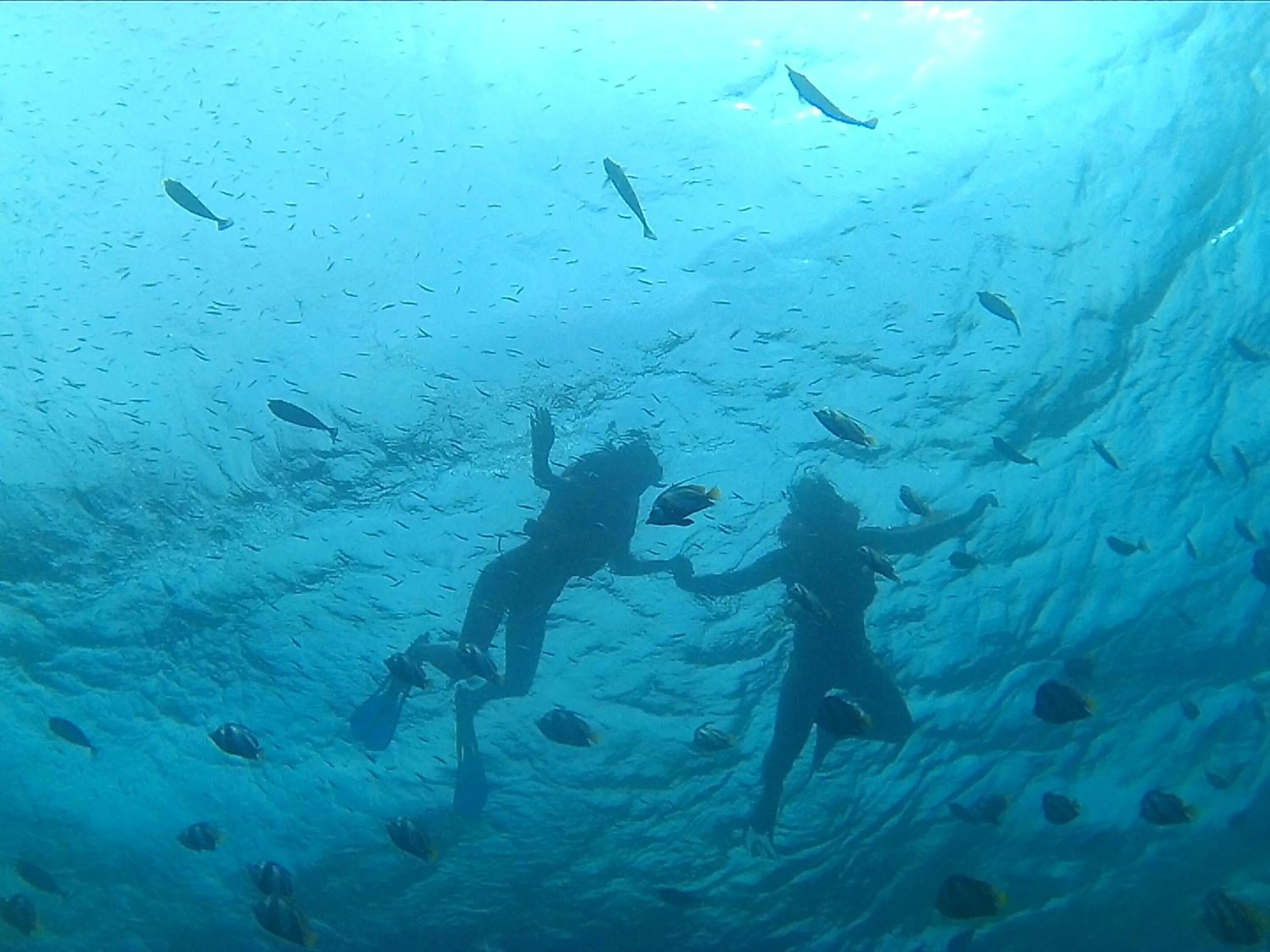 Snorkeling in Arora Inn