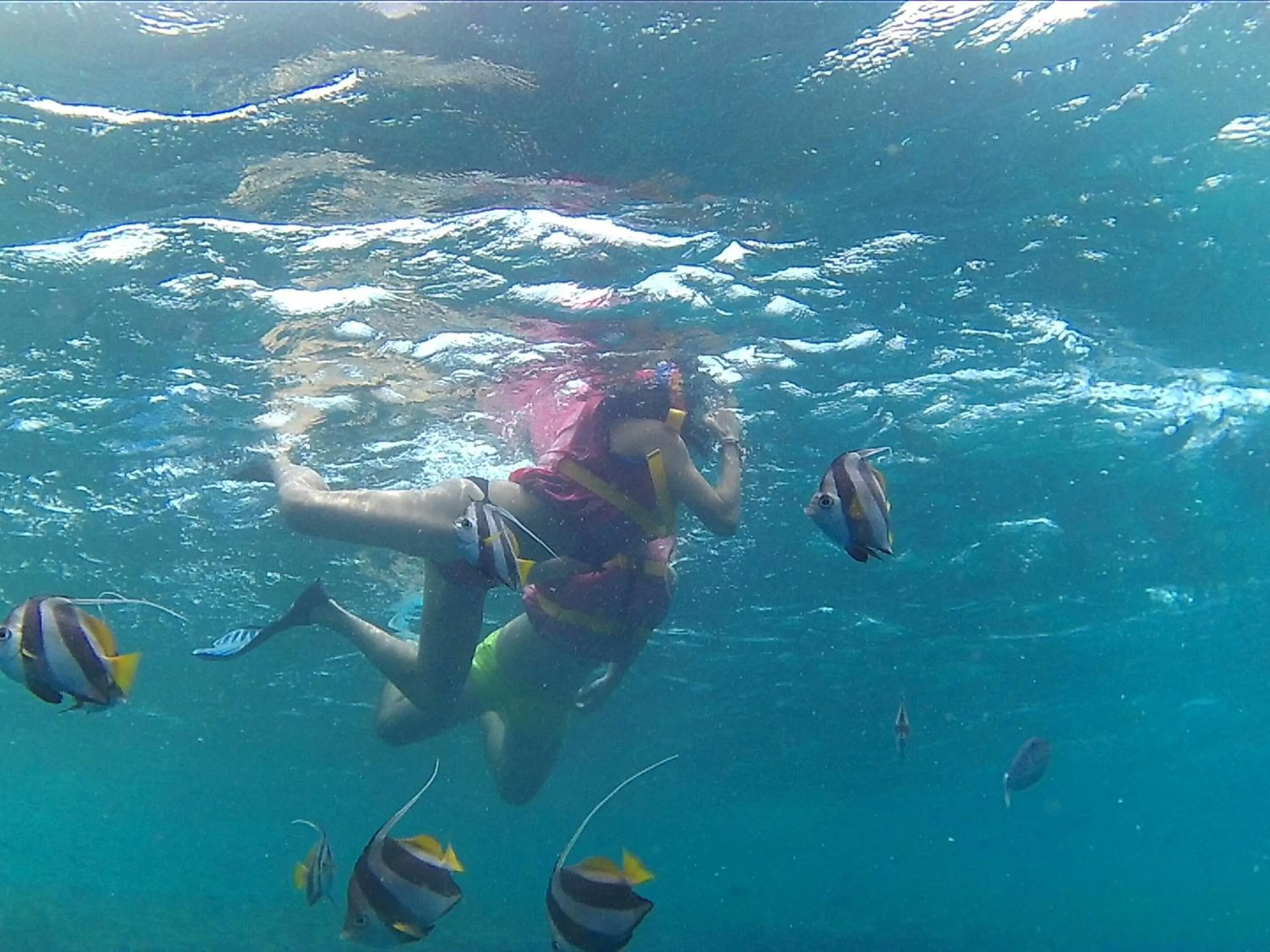 Snorkeling in Arora Inn