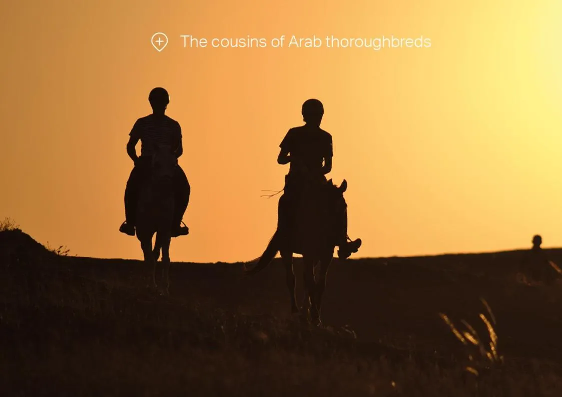 Horse-riding in Canyon Lodge Désert Agafay