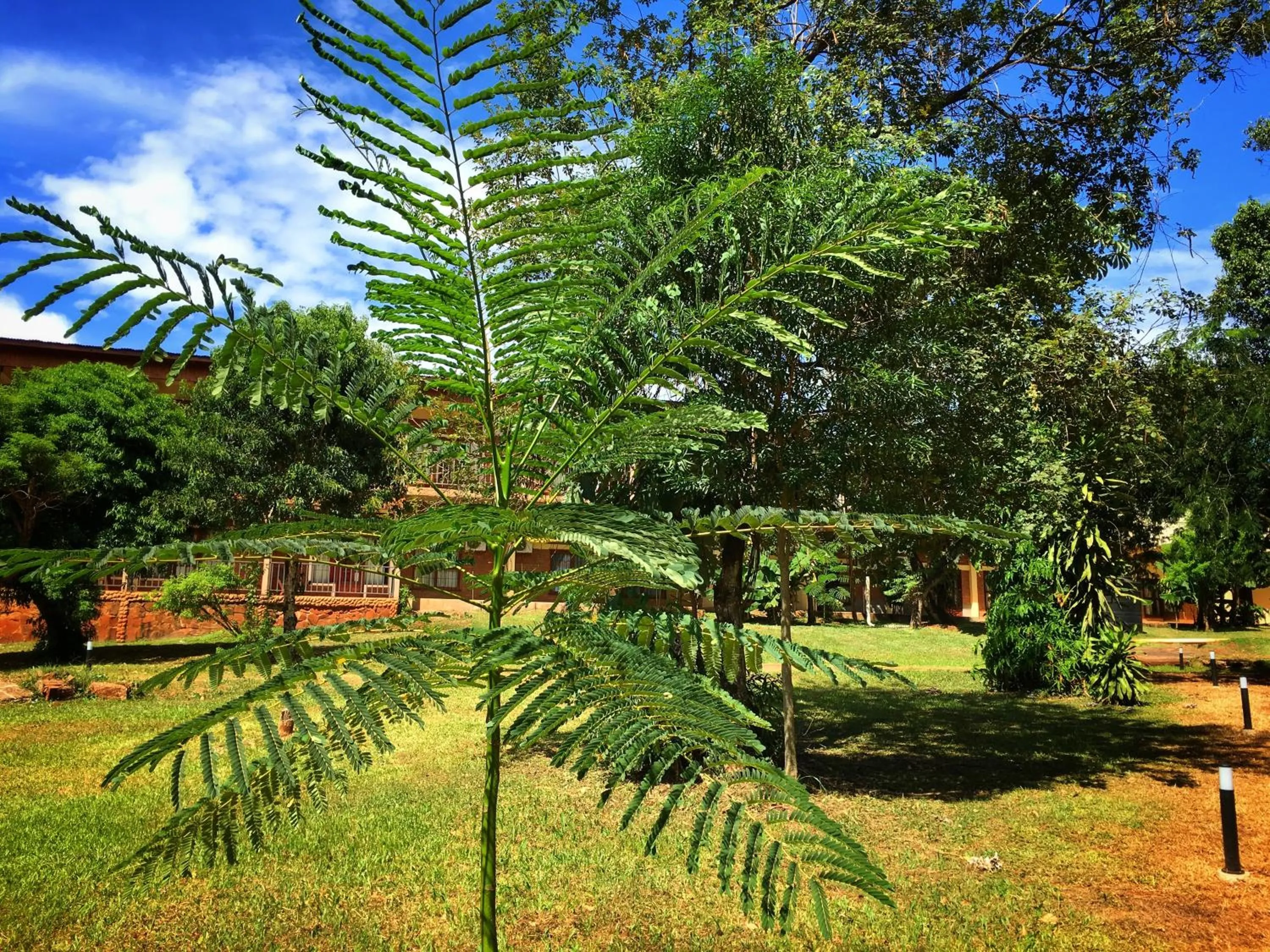 Patio in Hotel Carmen